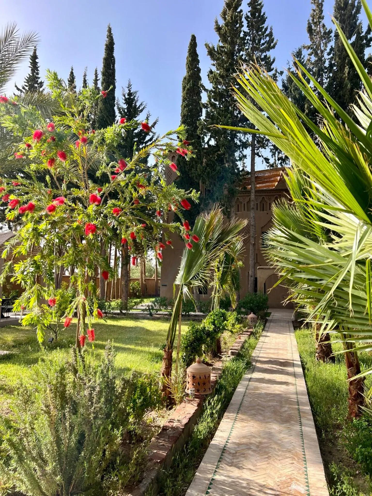 Garden in Kasbah des cyprès