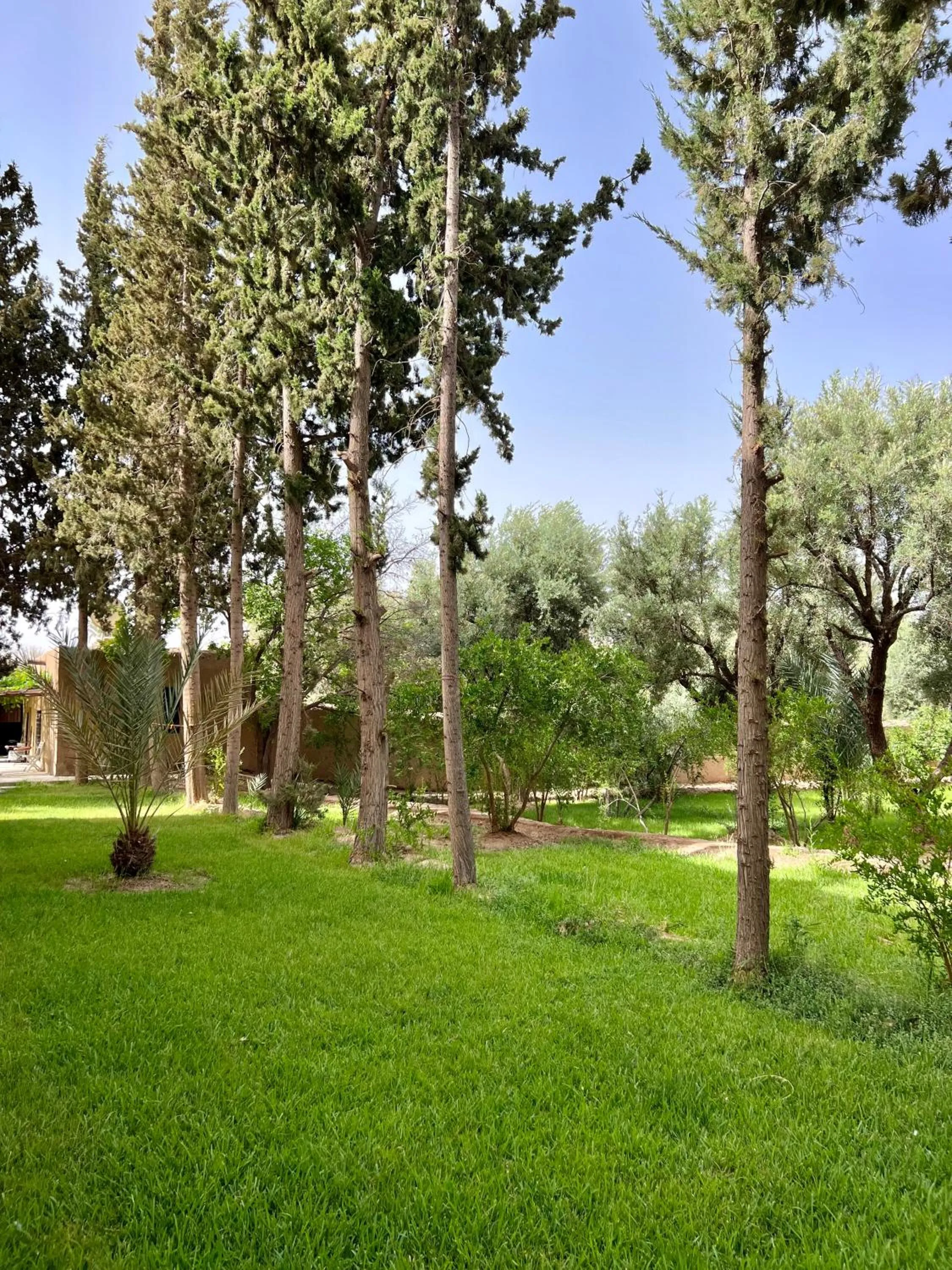 Natural landscape in Kasbah des cyprès