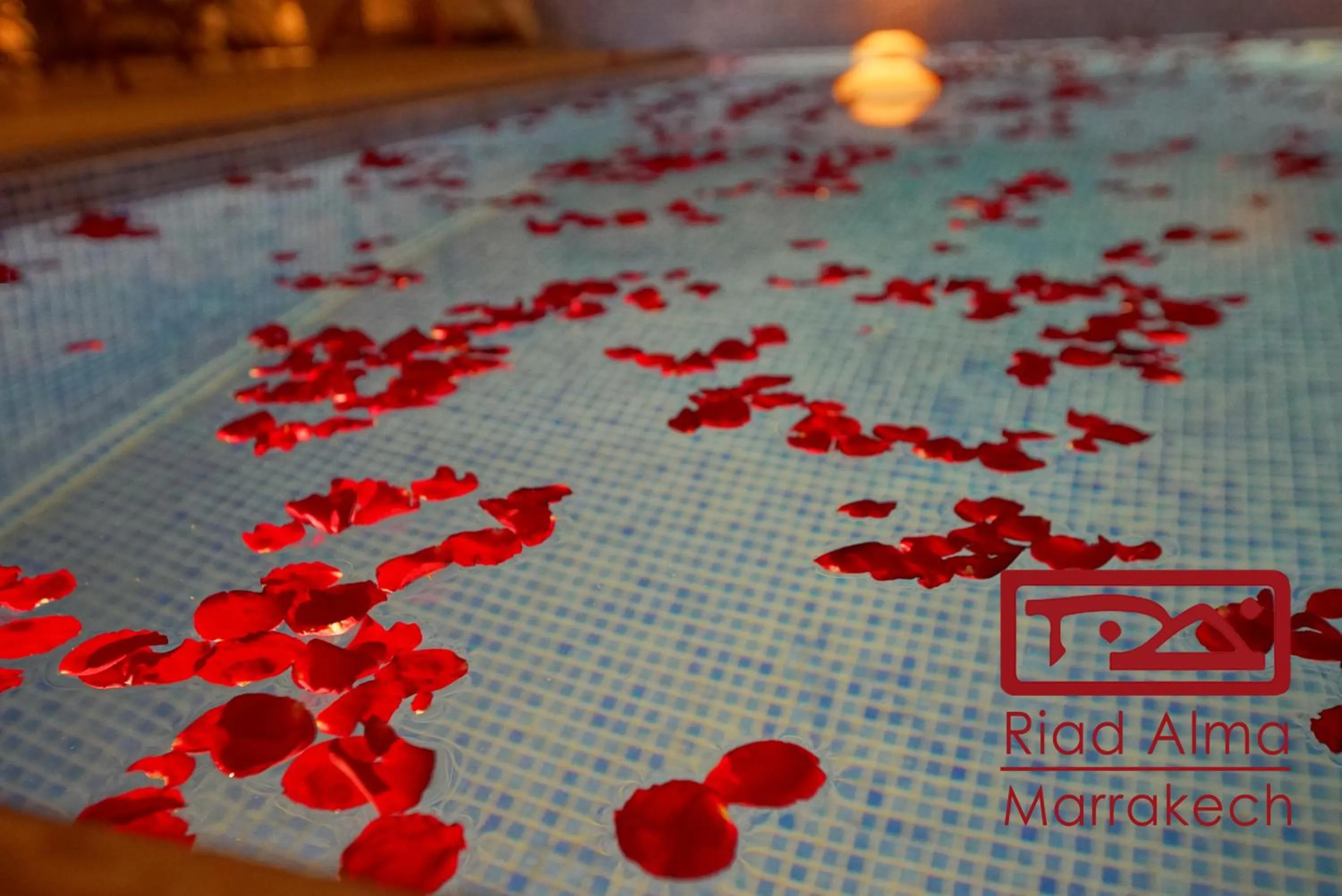 Swimming pool in Riad Alma