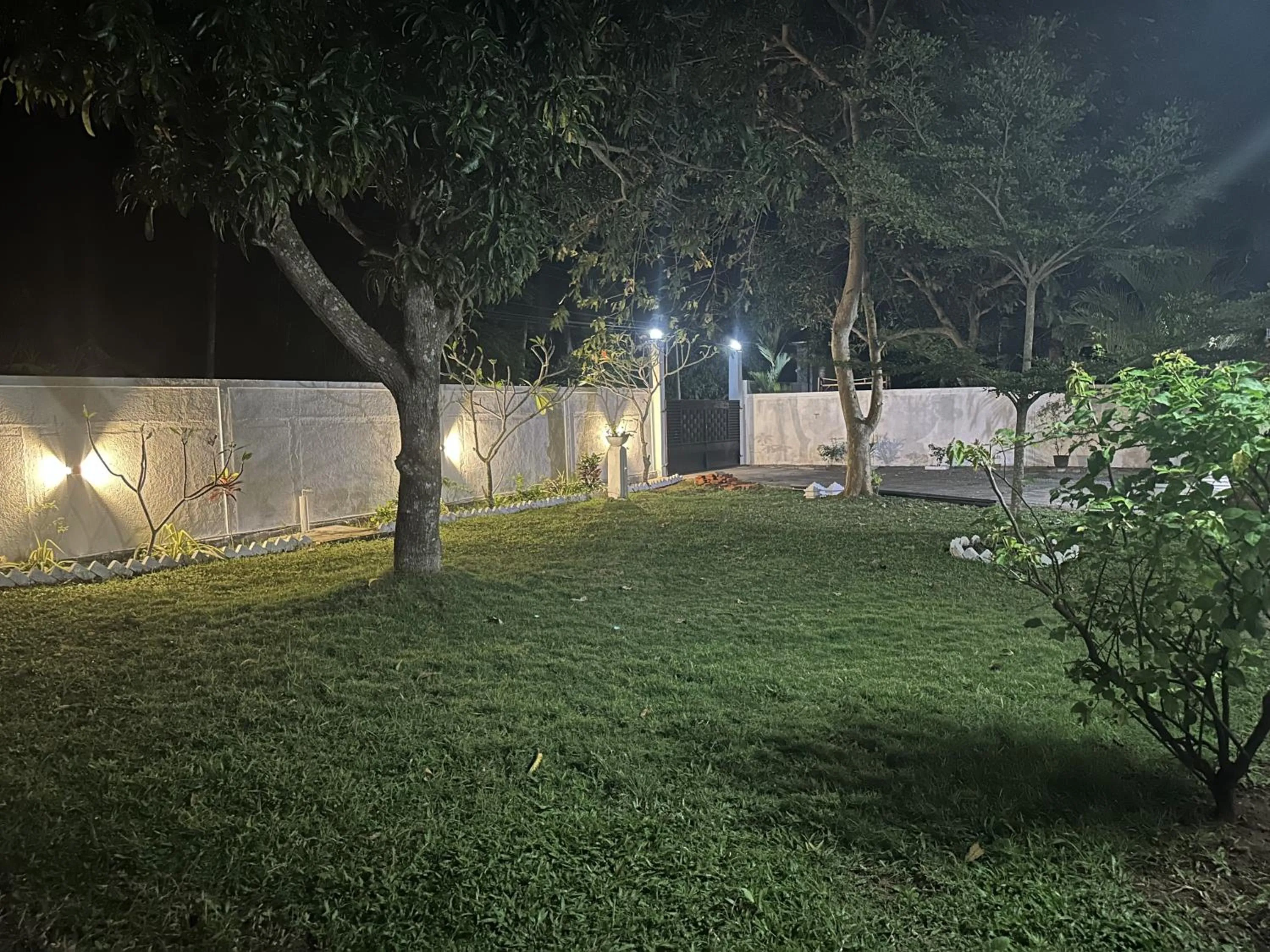 Night in Green Garden Anuradhapura