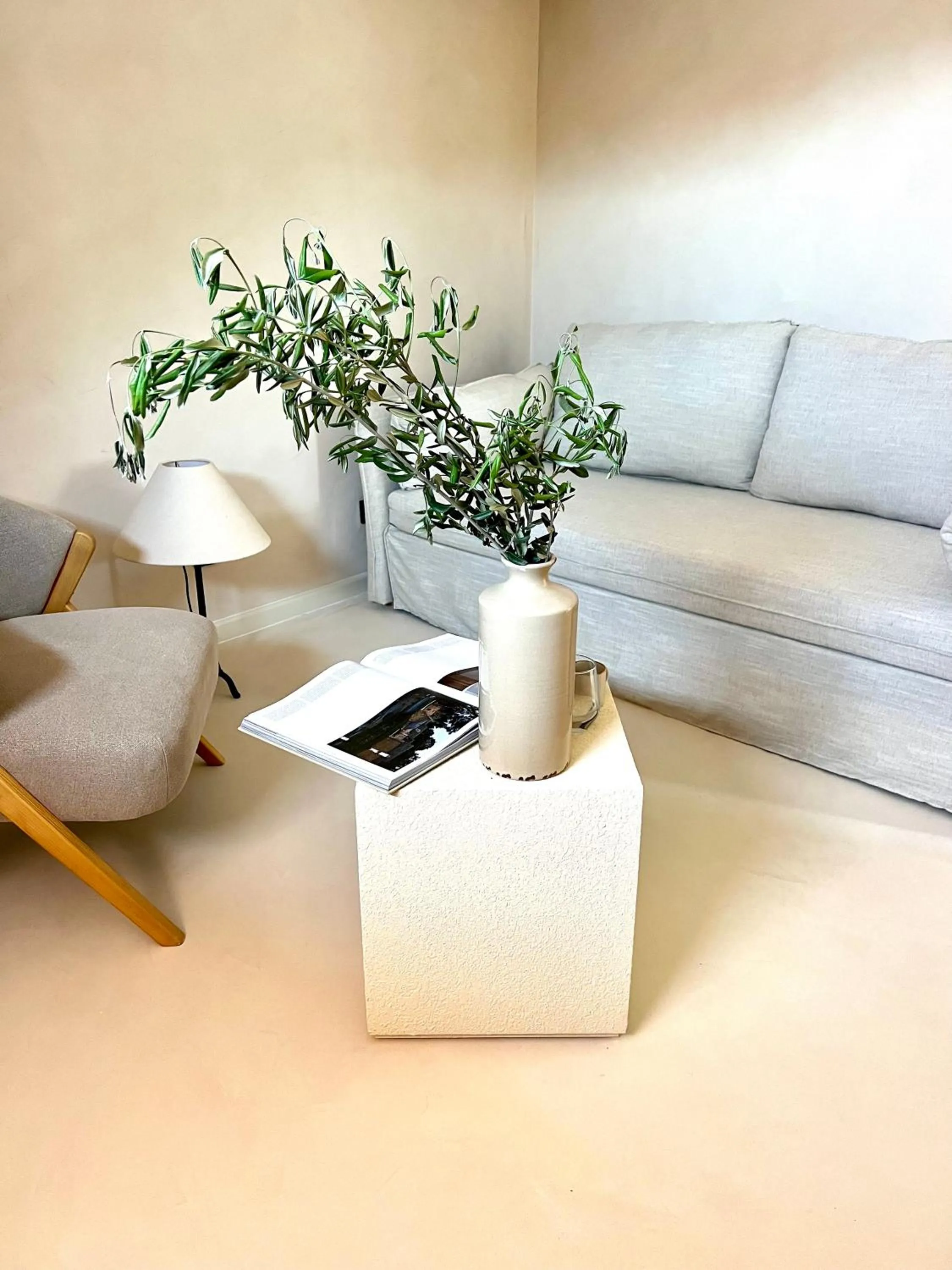 Living room in lo͝or luxury rooms