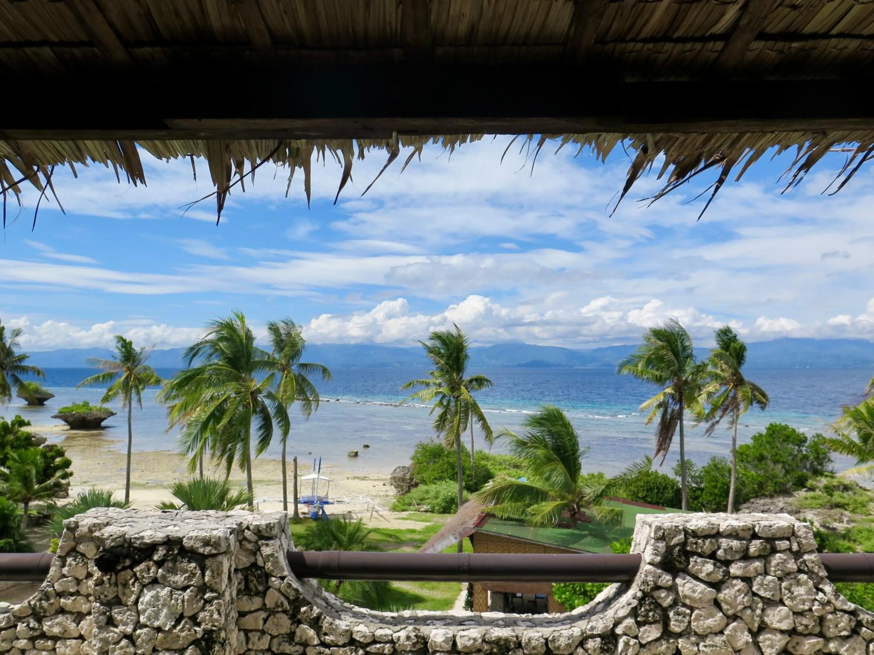 View (from property/room) in The Wild Orchid Resort - Moalboal