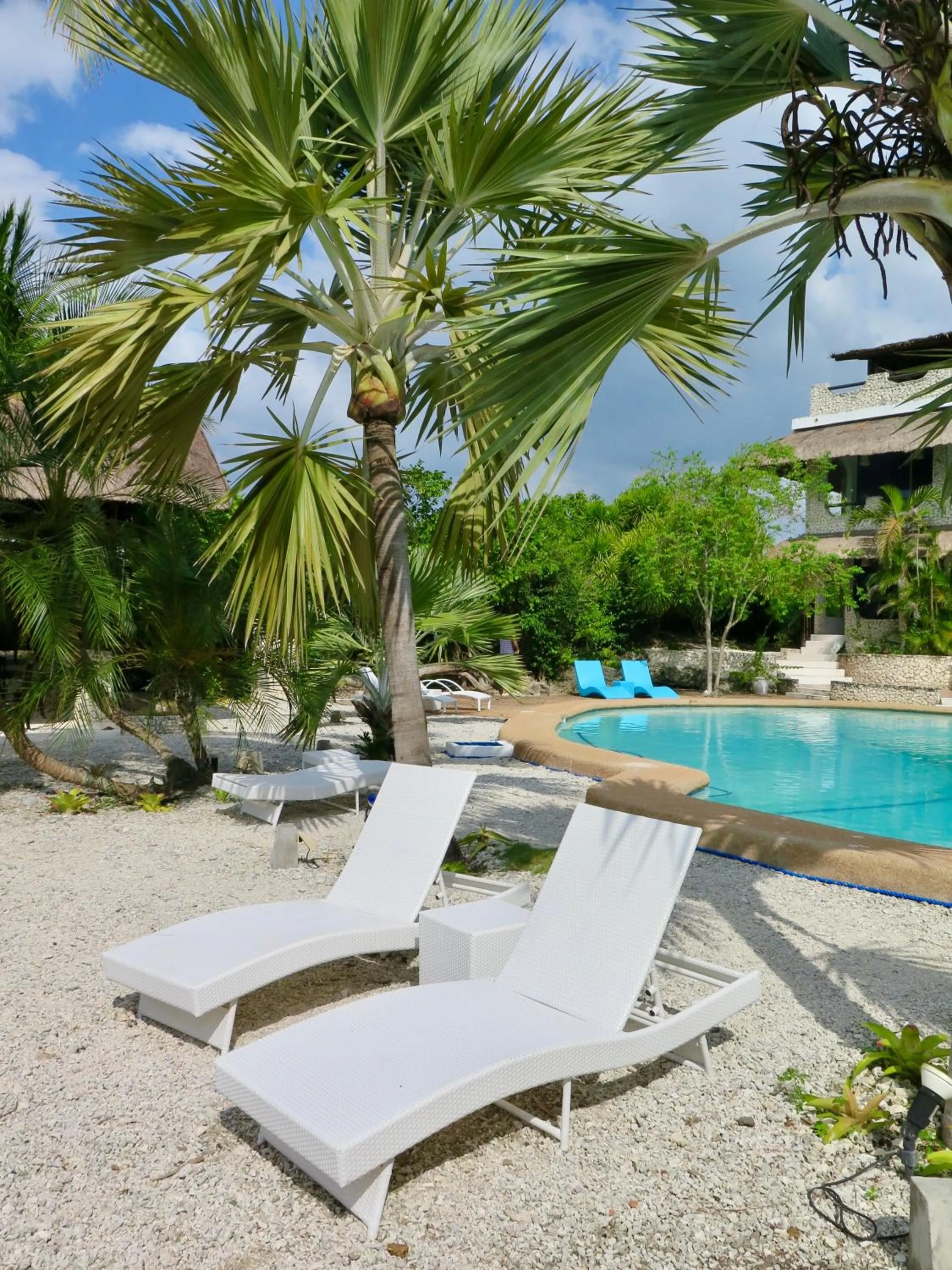 Pool view in The Wild Orchid Resort - Moalboal