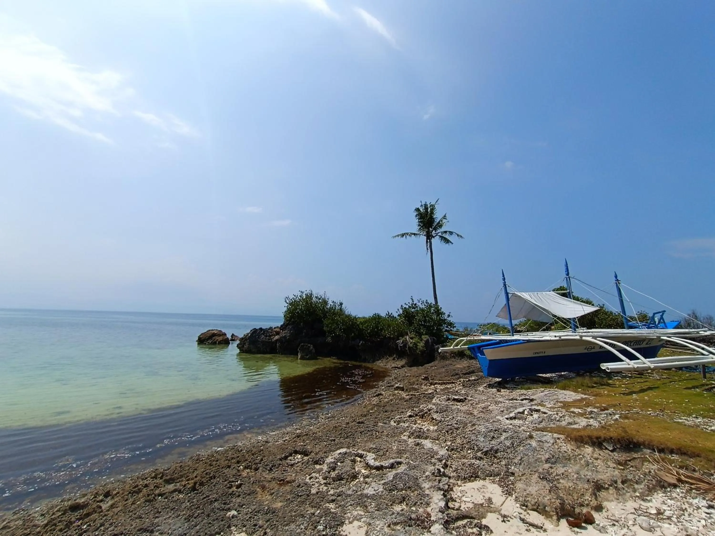 Beach in The Wild Orchid Resort - Moalboal