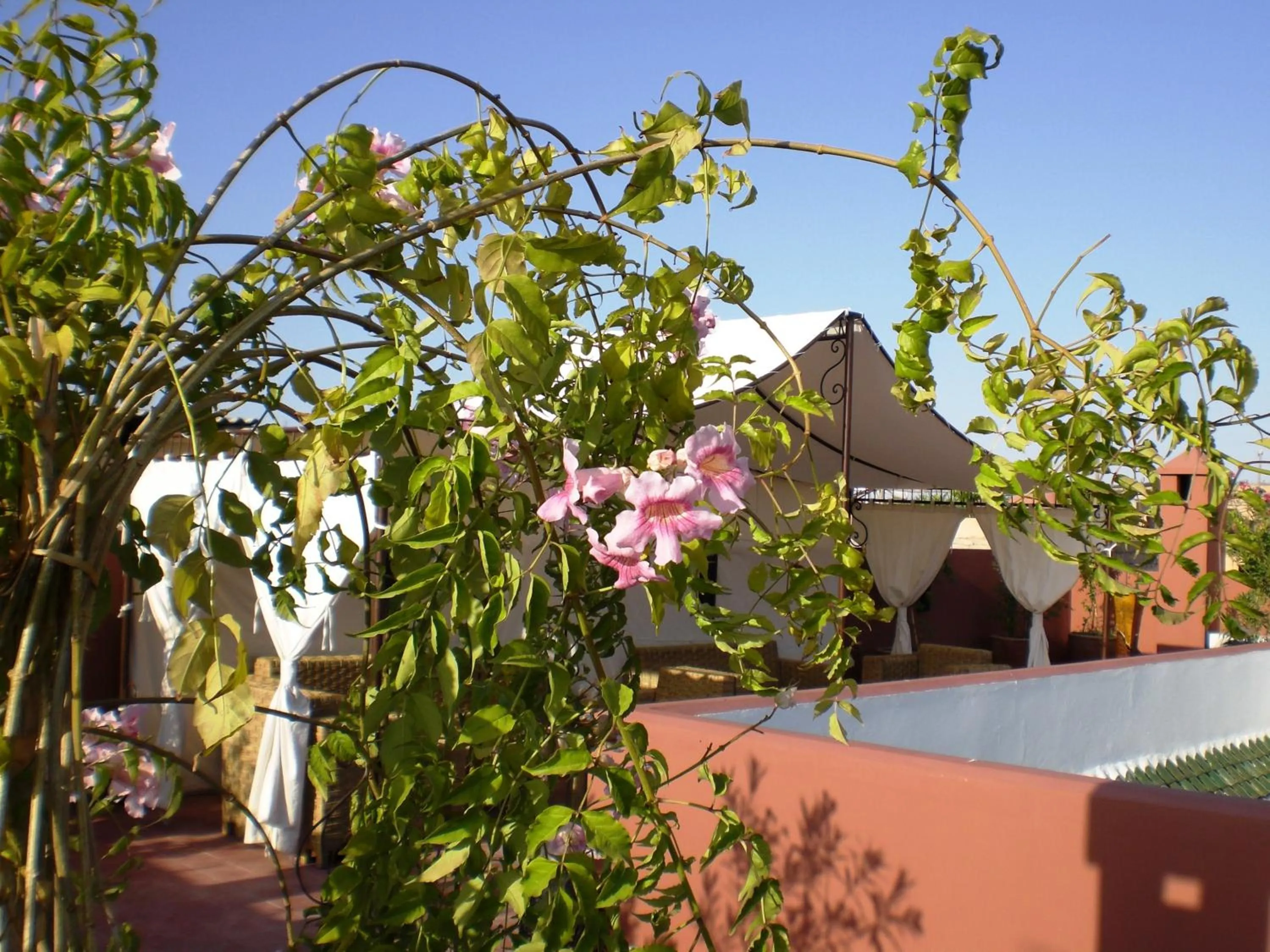 Patio in Riad Mariana