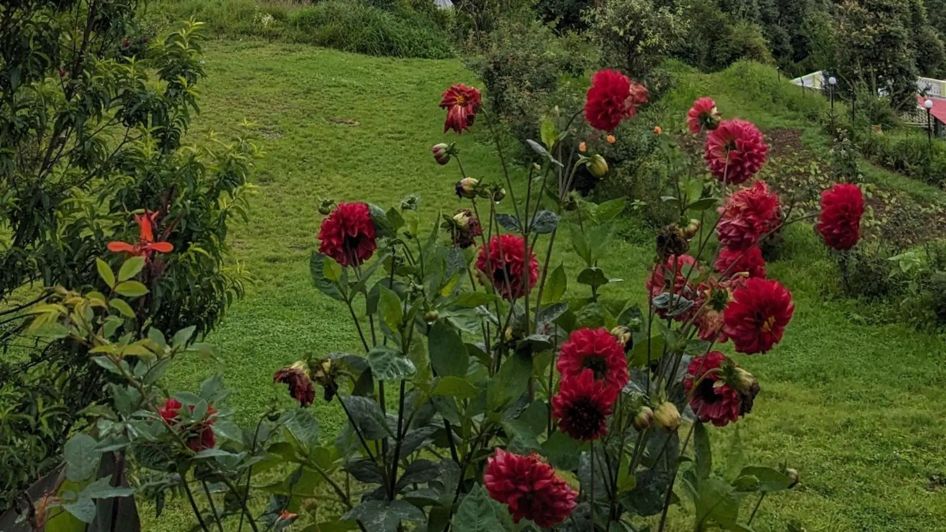 Garden view in Haut Monde King's Paradise Resort