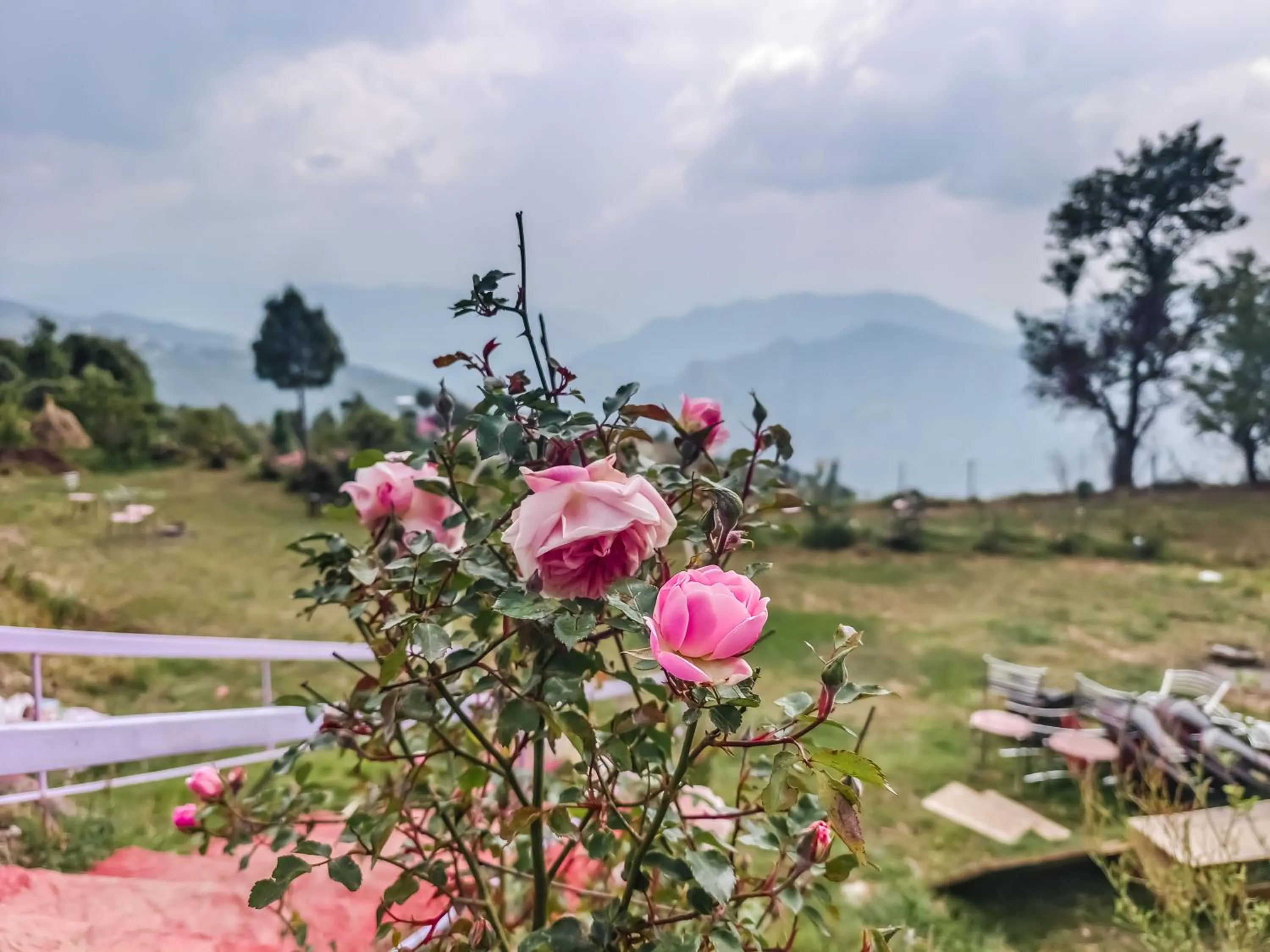 Natural landscape in Haut Monde King's Paradise Resort