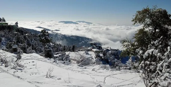 Winter in Haut Monde King's Paradise Resort