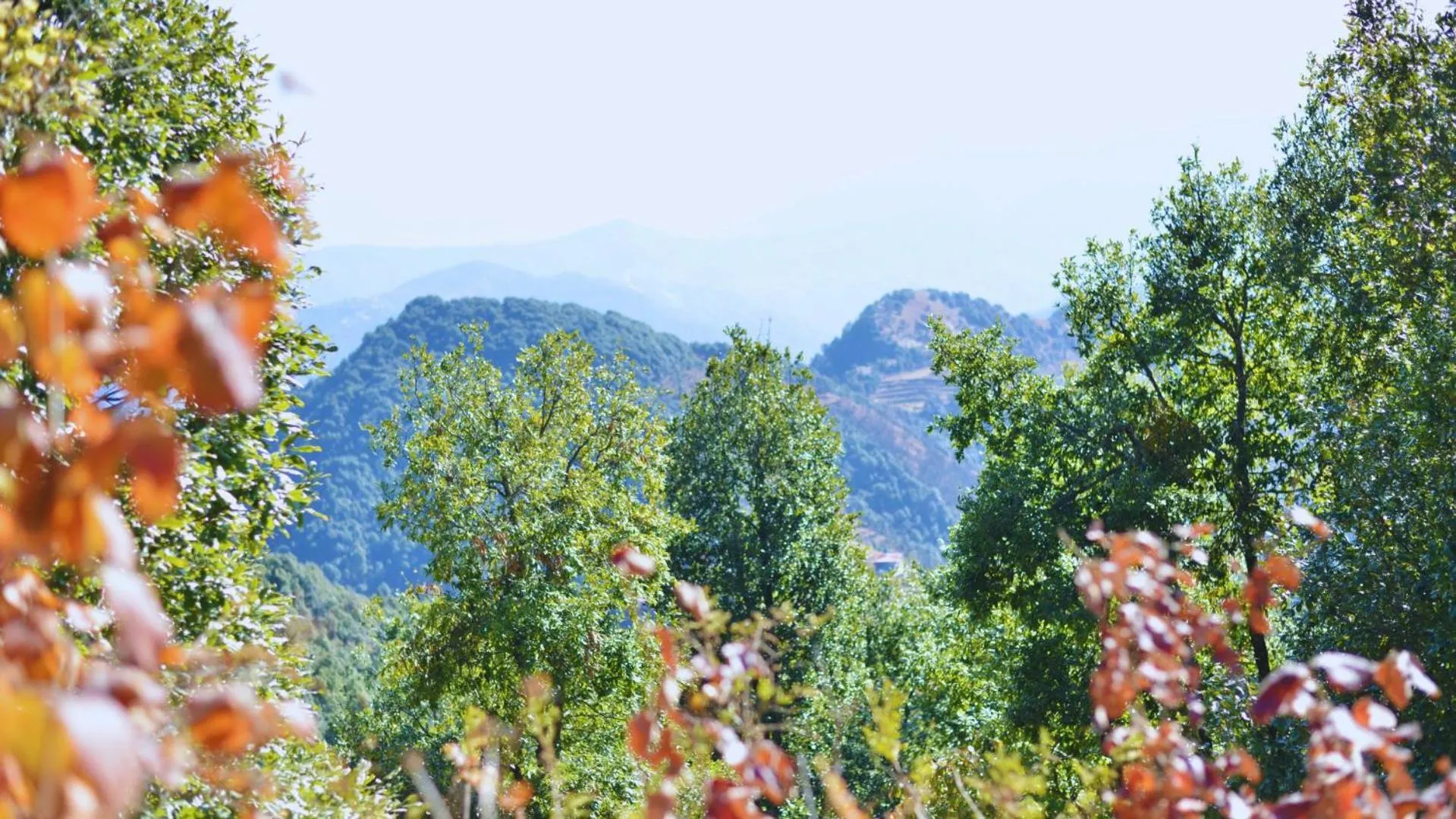 Mountain view in Haut Monde King's Paradise Resort