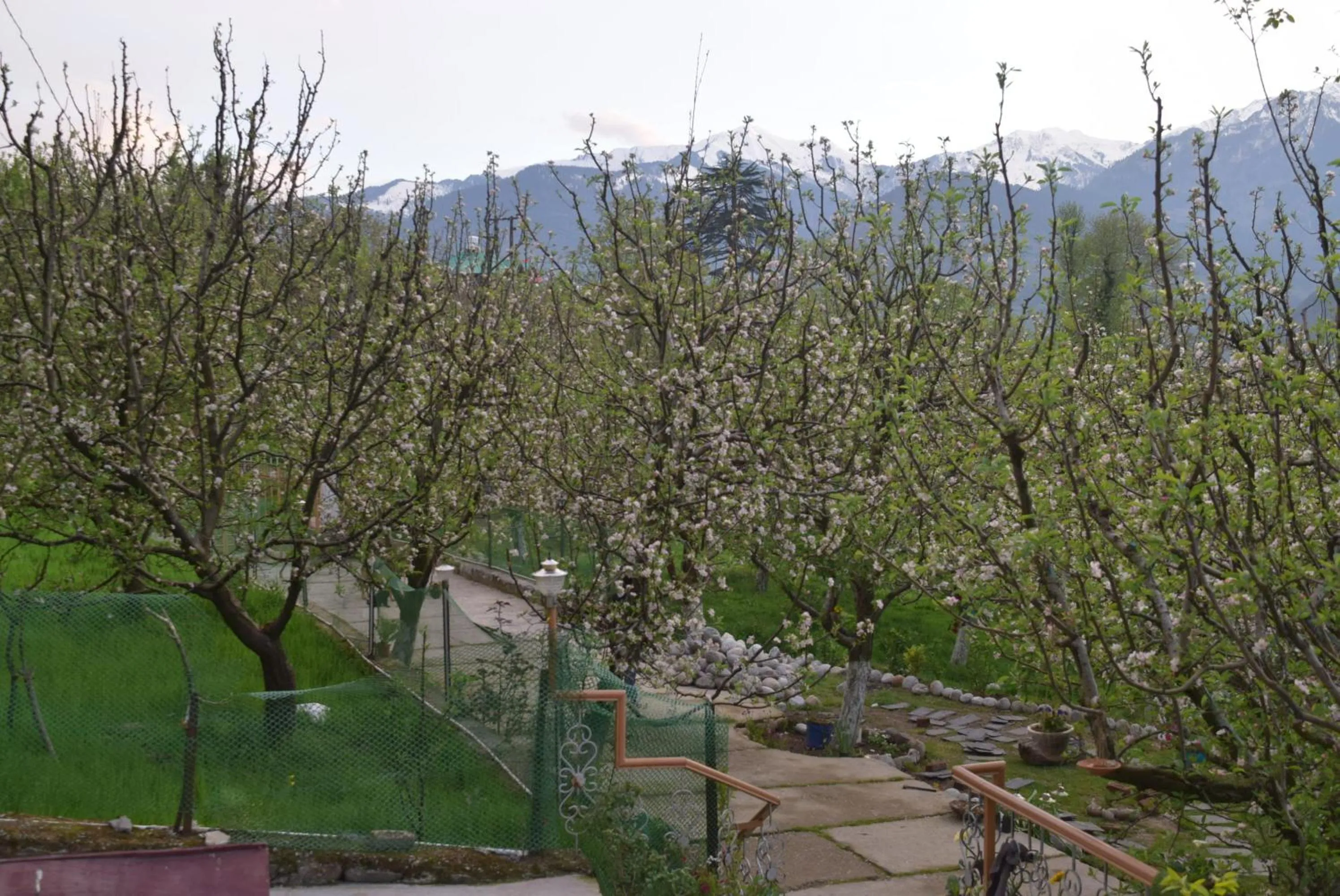 Natural landscape in Shepherd Inn the Hill