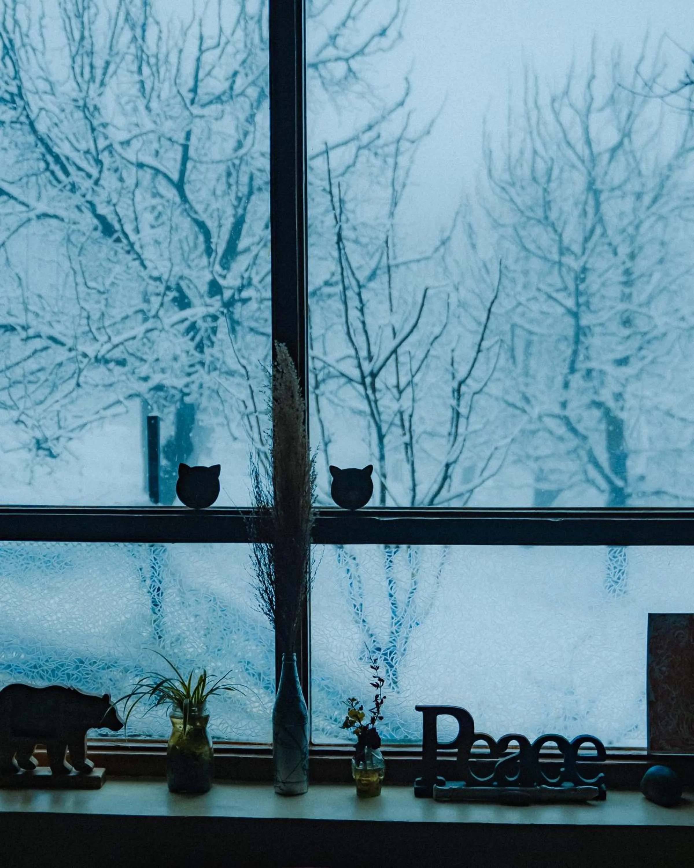 Winter in Shepherd Inn the Hill