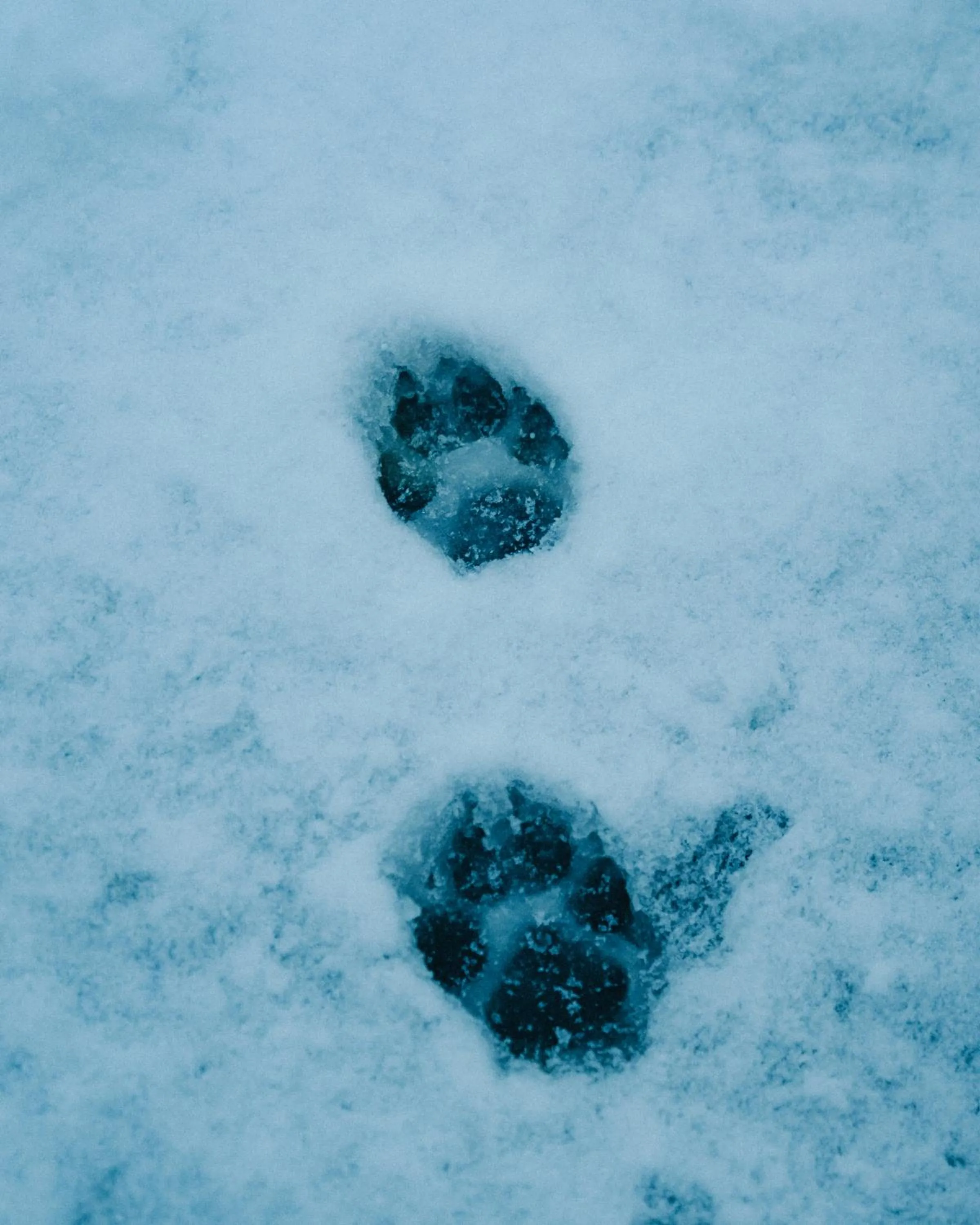 Natural landscape in Shepherd Inn the Hill