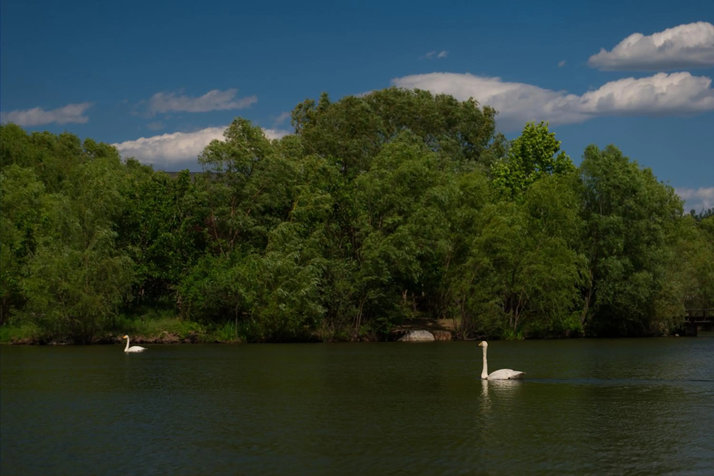 Day in Zhi Resort Beijing&Peafowl Garden&Breakfast with Deer&Private Hot Spring&50 Meter Swimming Pool&Free Coffee&Close to Olympic Forest Park