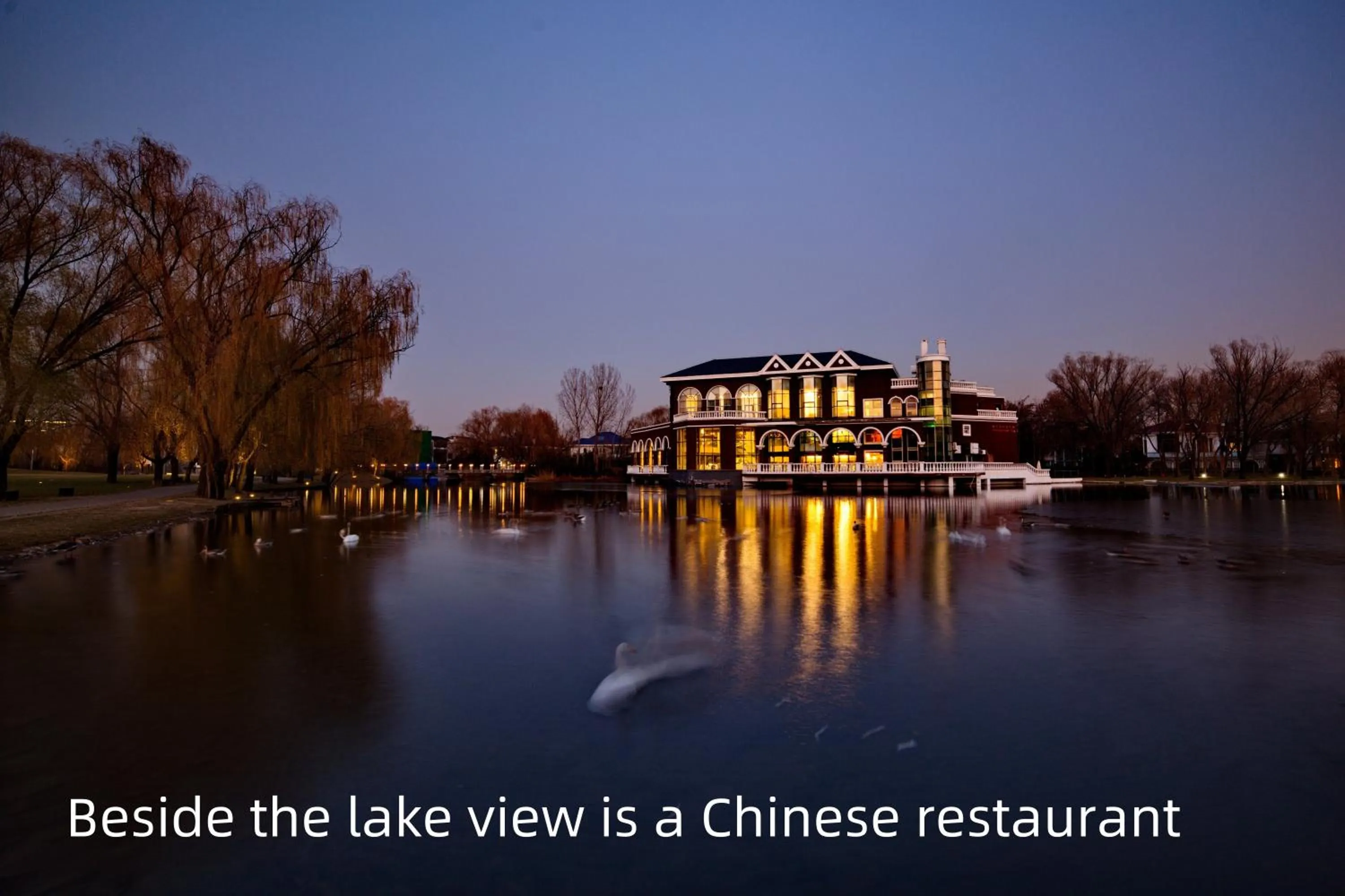 Restaurant/places to eat in Zhi Resort Beijing&Peafowl Garden&Breakfast with Deer&Private Hot Spring&50 Meter Swimming Pool&Free Coffee&Close to Olympic Forest Park