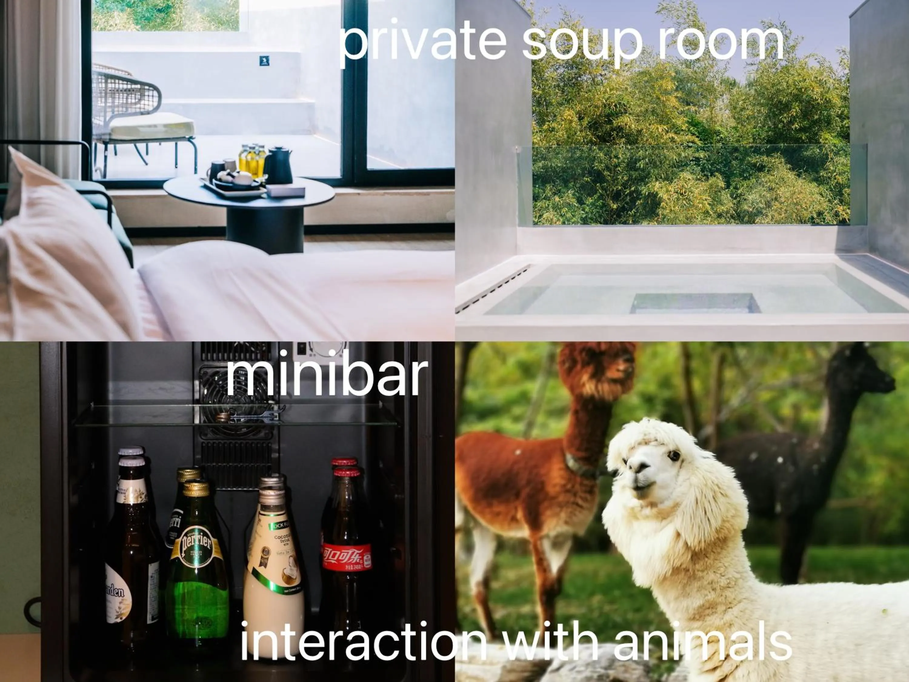 Text overlay in Zhi Resort Beijing&Peafowl Garden&Breakfast with Deer&Private Hot Spring&50 Meter Swimming Pool&Free Coffee&Close to Olympic Forest Park