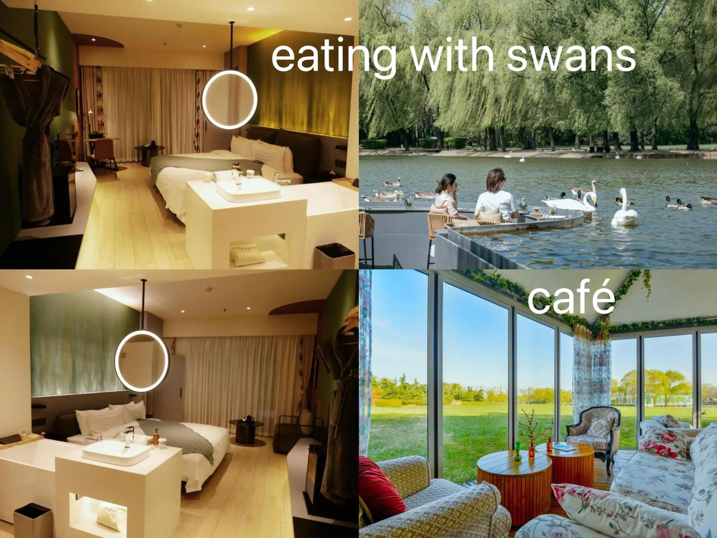 Text overlay in Zhi Resort Beijing&Peafowl Garden&Breakfast with Deer&Private Hot Spring&50 Meter Swimming Pool&Free Coffee&Close to Olympic Forest Park