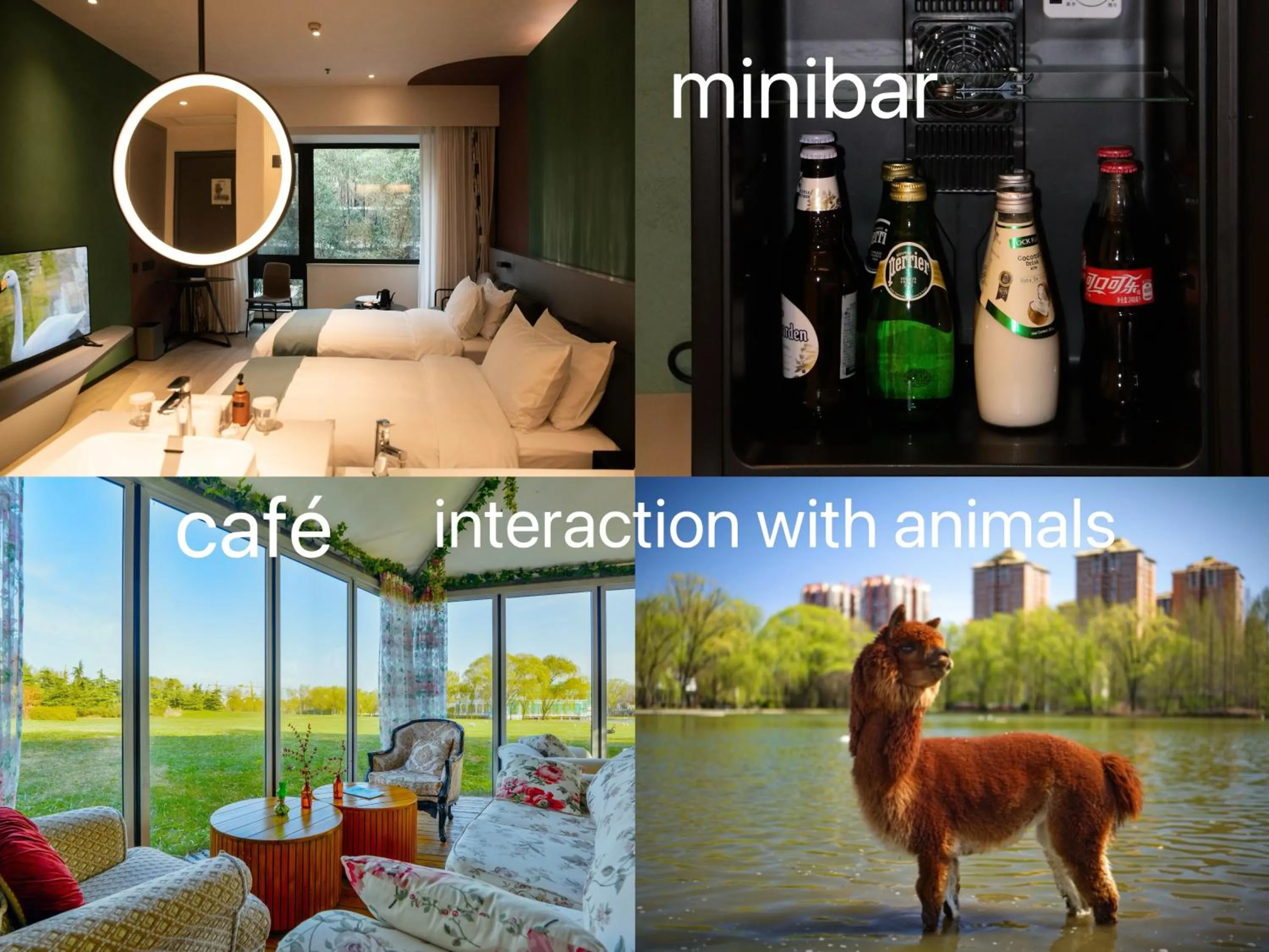 Text overlay in Zhi Resort Beijing&Peafowl Garden&Breakfast with Deer&Private Hot Spring&50 Meter Swimming Pool&Free Coffee&Close to Olympic Forest Park