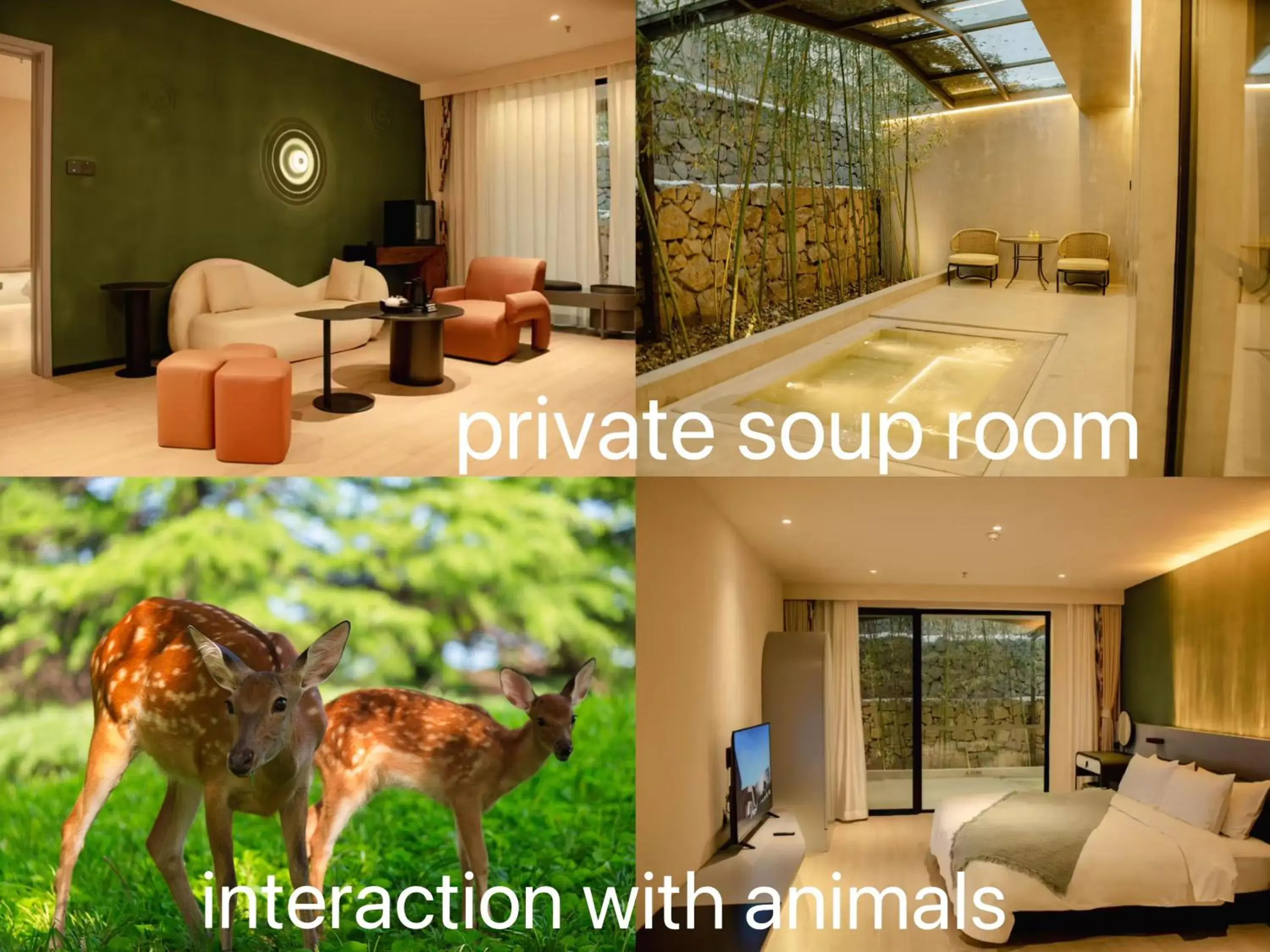 Junior Suite with Private Pool in Zhi Resort Beijing Junior Suite with Private Pool in Zhi Resort Beijing