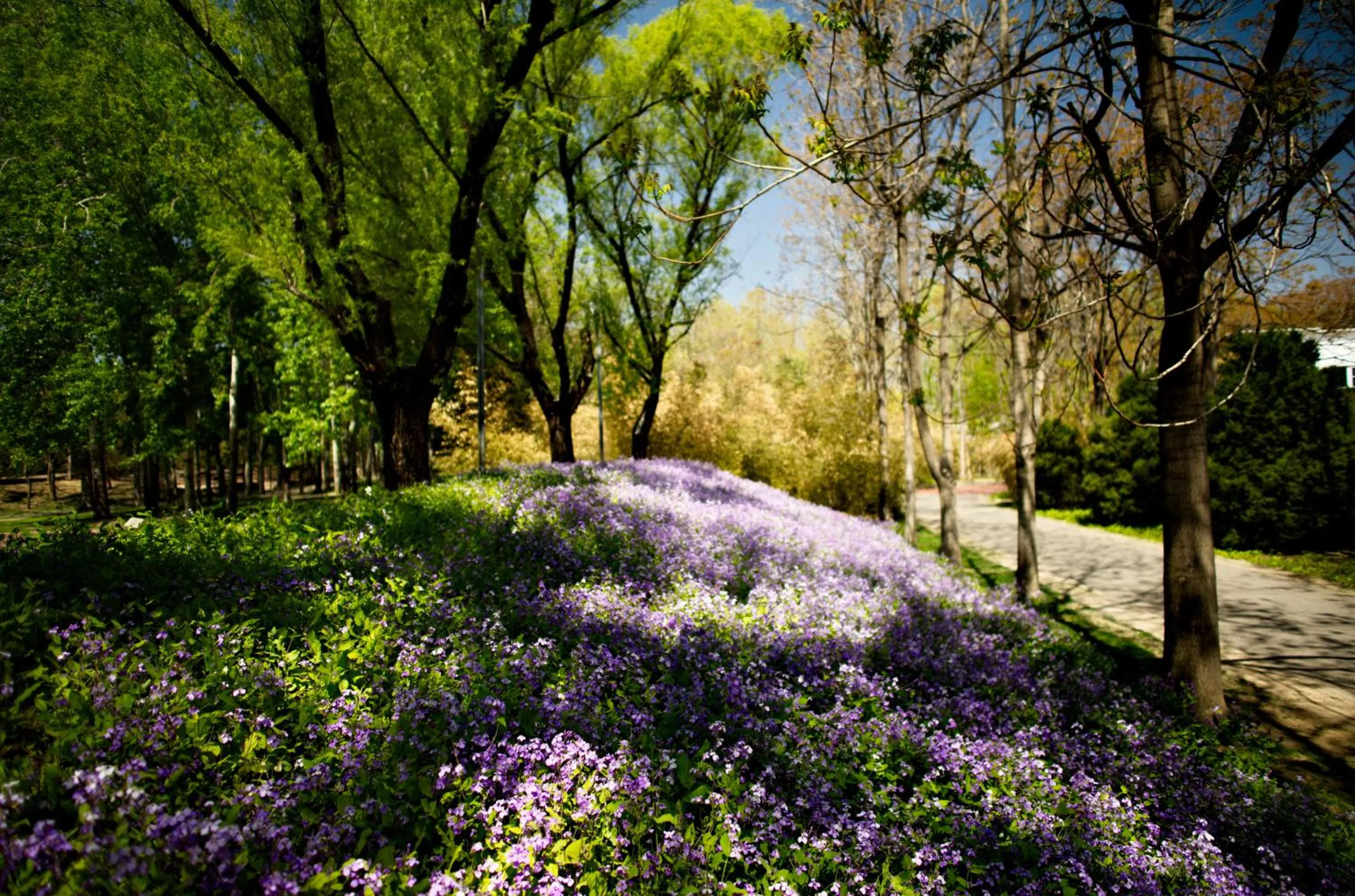 Spring in Zhi Resort Beijing&Peafowl Garden&Breakfast with Deer&Private Hot Spring&50 Meter Swimming Pool&Free Coffee&Close to Olympic Forest Park