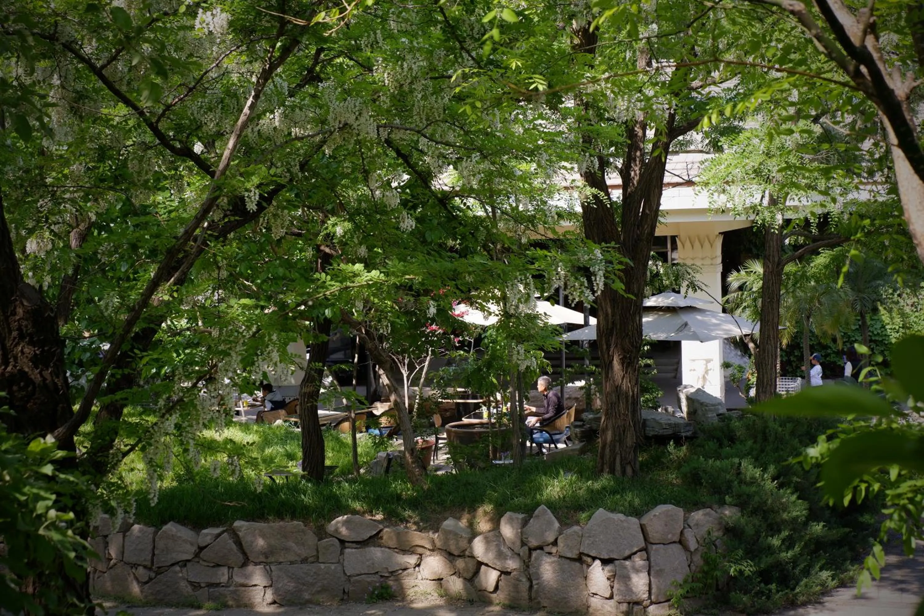 Spring in Zhi Resort Beijing&Peafowl Garden&Breakfast with Deer&Private Hot Spring&50 Meter Swimming Pool&Free Coffee&Close to Olympic Forest Park