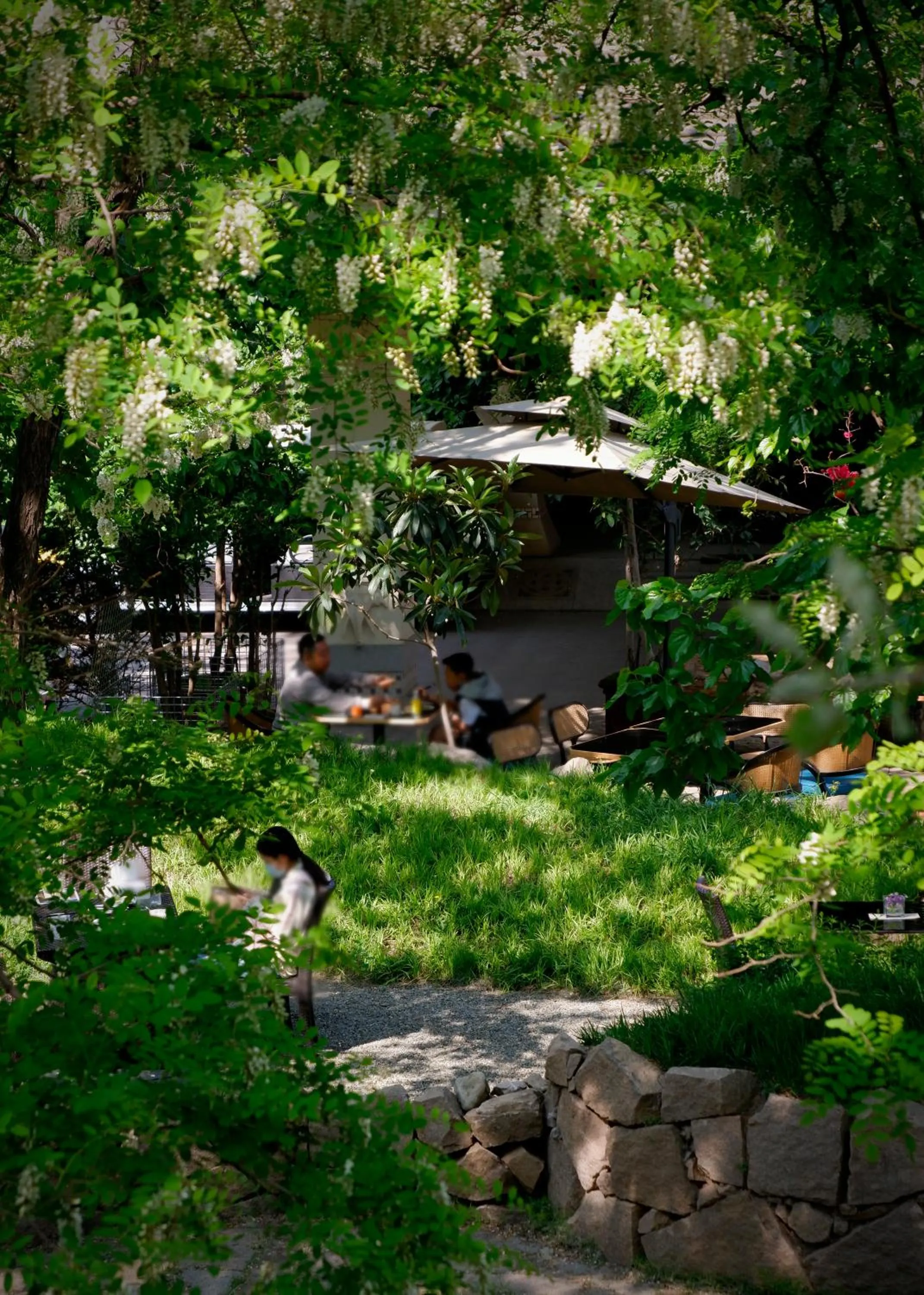 Garden in Zhi Resort Beijing&Peafowl Garden&Breakfast with Deer&Private Hot Spring&50 Meter Swimming Pool&Free Coffee&Close to Olympic Forest Park