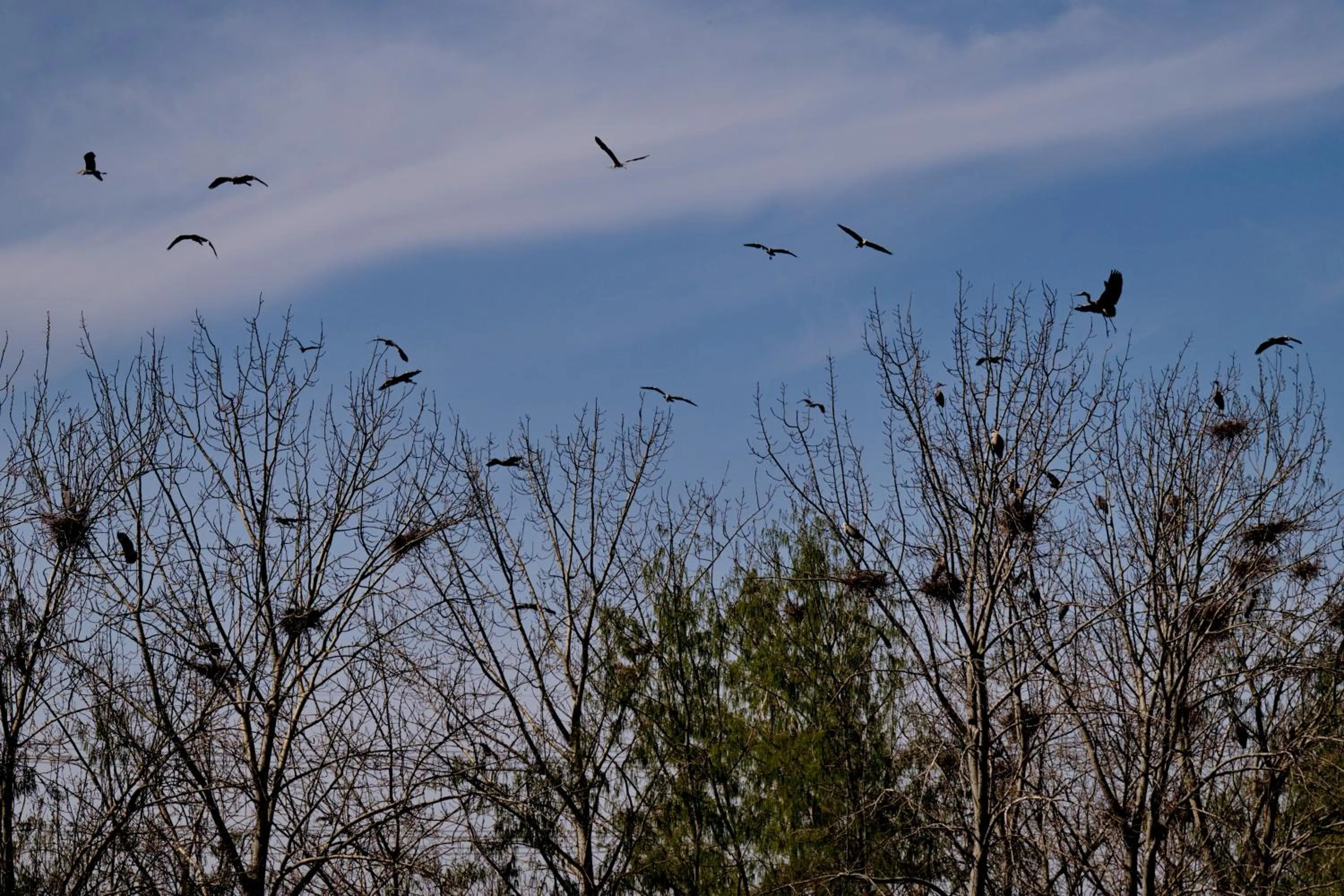 Day in Zhi Resort Beijing&Peafowl Garden&Breakfast with Deer&Private Hot Spring&50 Meter Swimming Pool&Free Coffee&Close to Olympic Forest Park