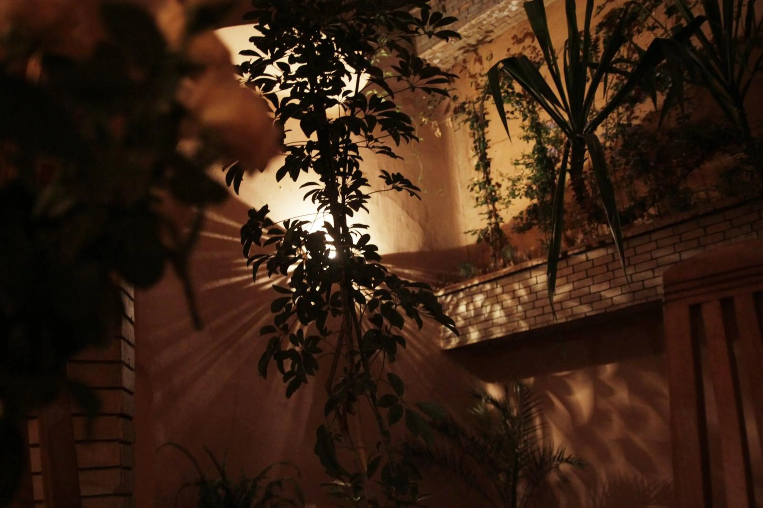 Other in Riad Azenzer