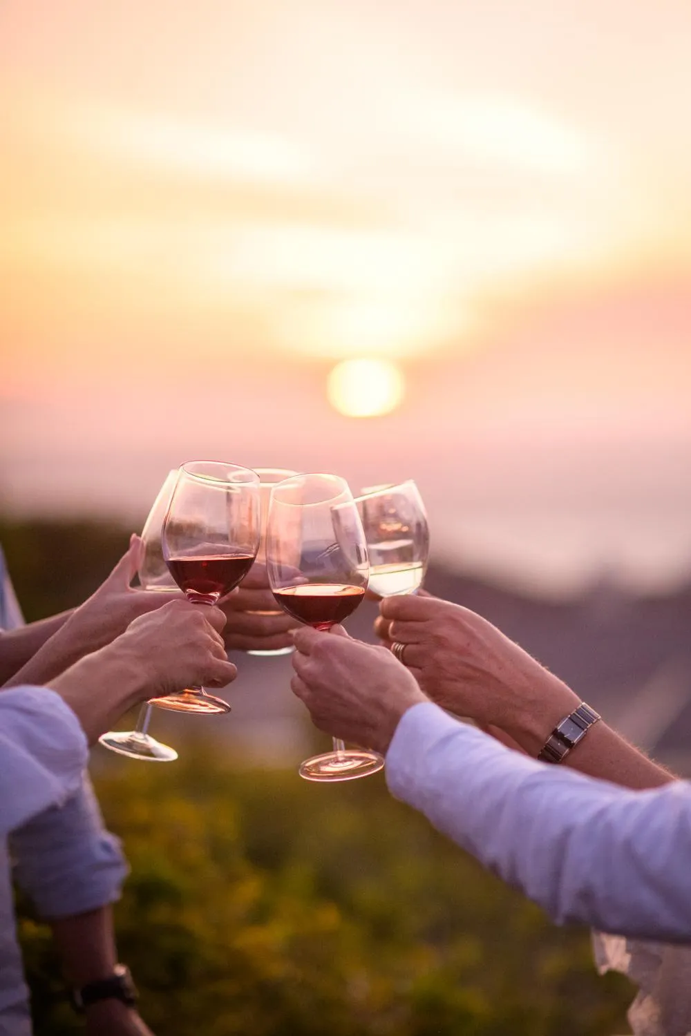 Day in Fijnbos Private Manor