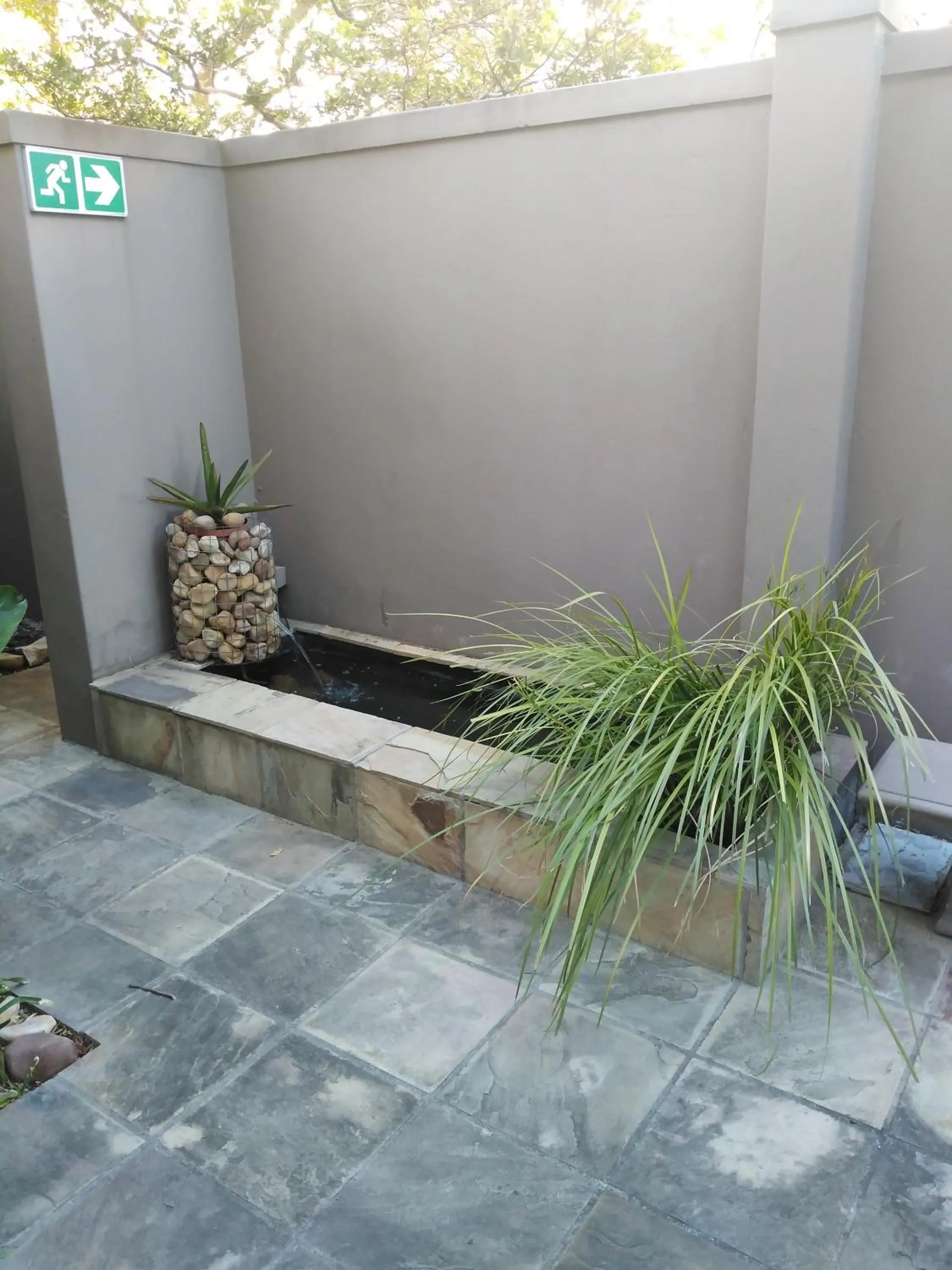 Inner courtyard view in Chocolate Box Guesthouse