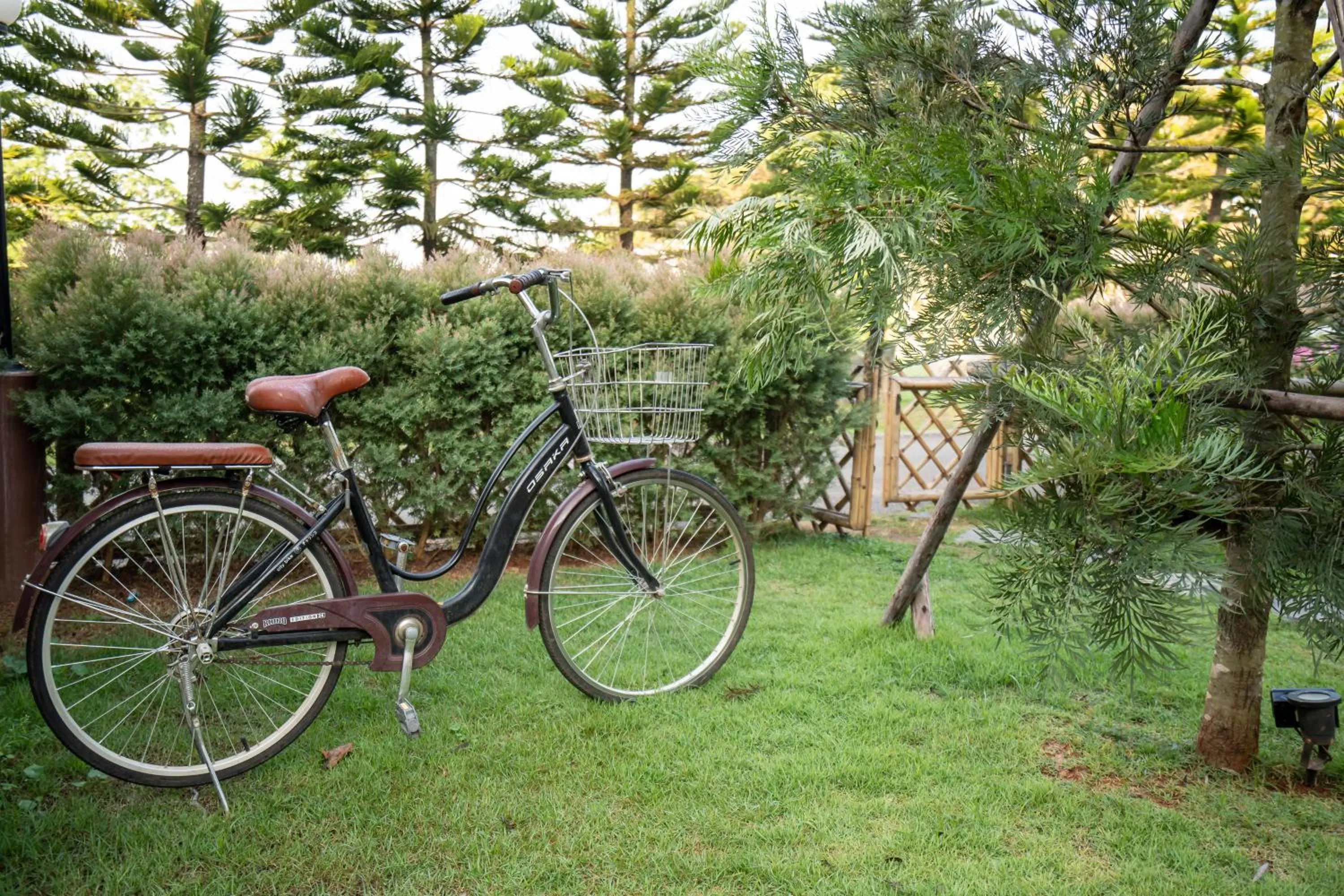 Activities in Thara Dara Khaoyai