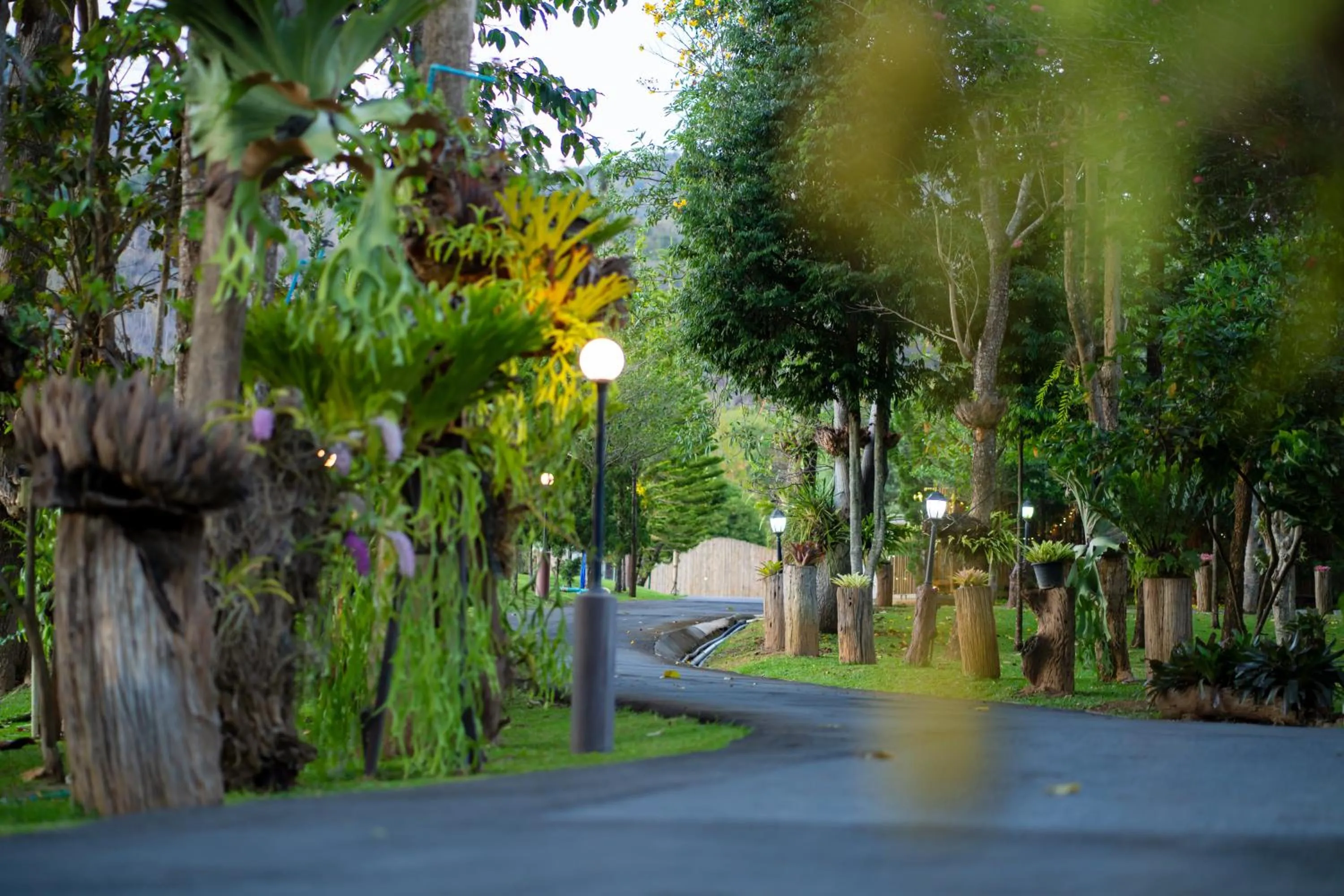 Garden in Thara Dara Khaoyai