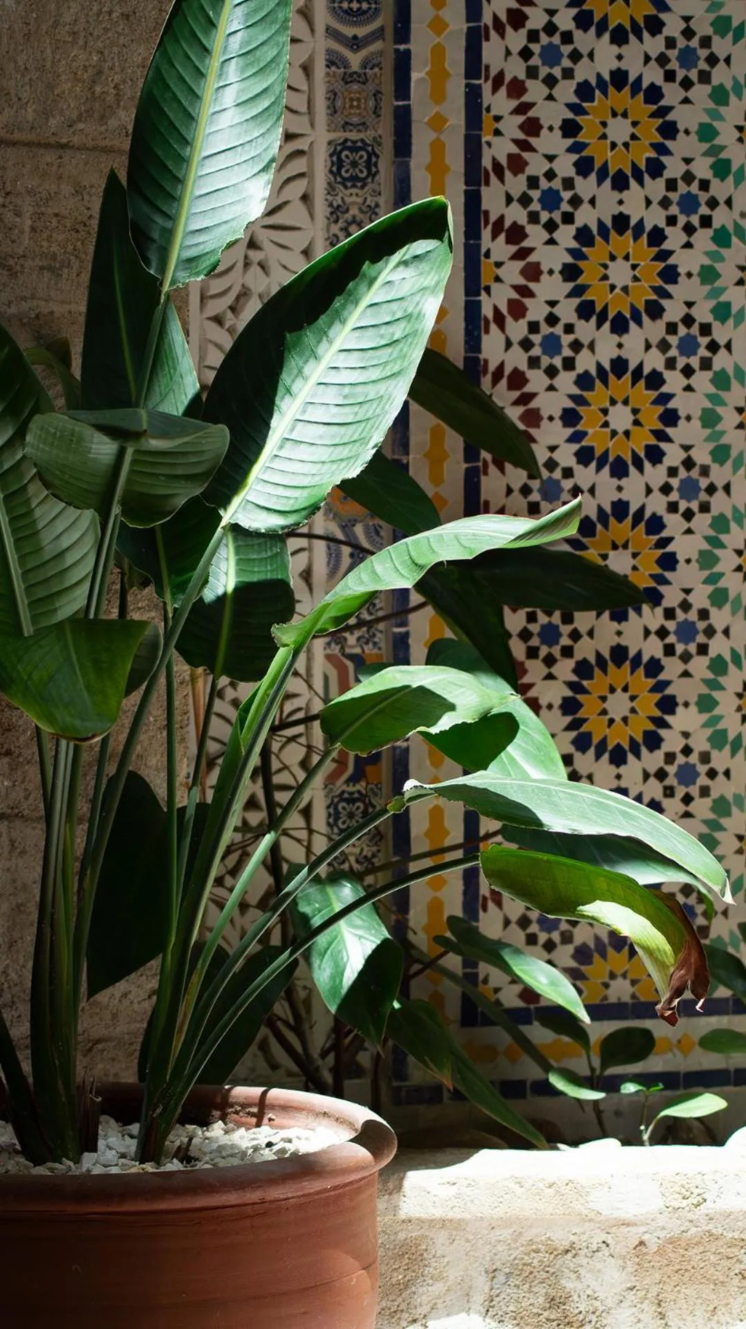 Decorative detail in Riad Al Manara