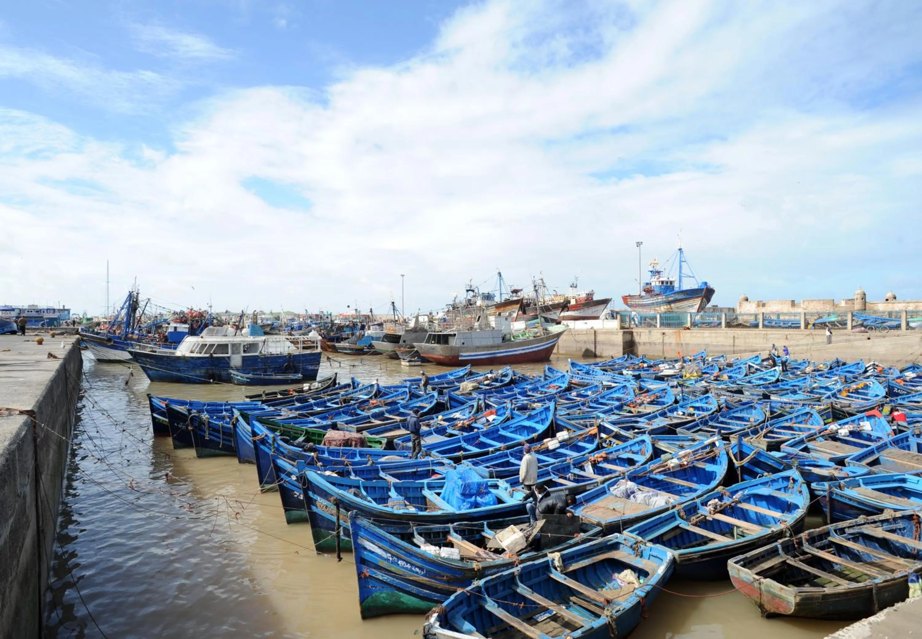 Entertainment in Riad Maison Du Sud