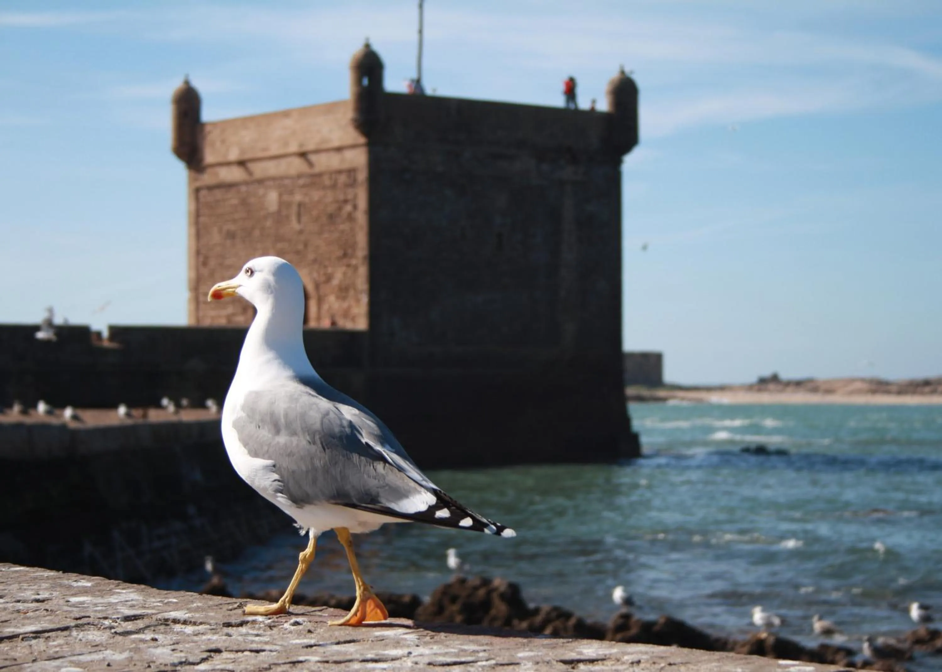 Off site in Riad Maison Du Sud