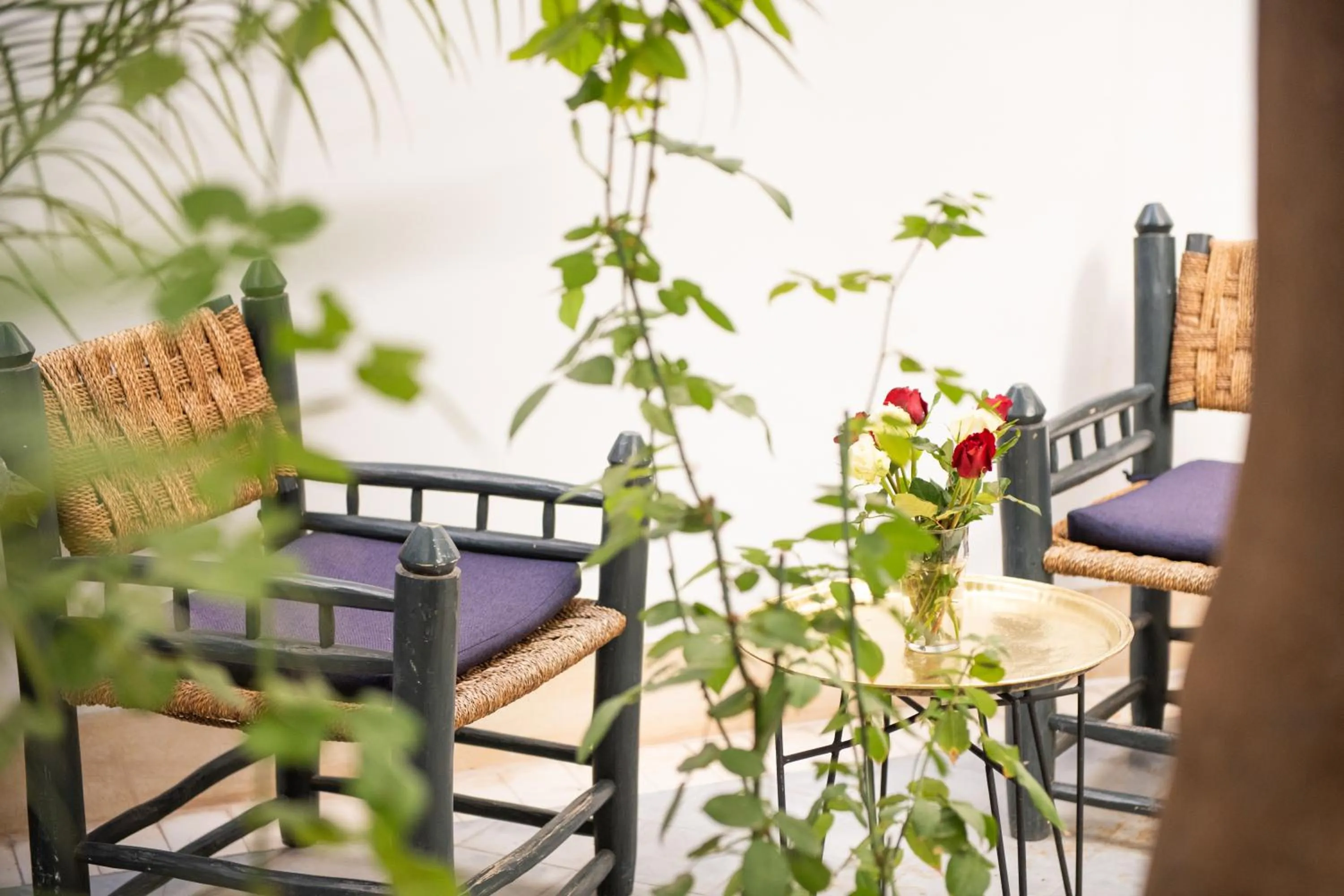 Patio in Riyad El Cadi