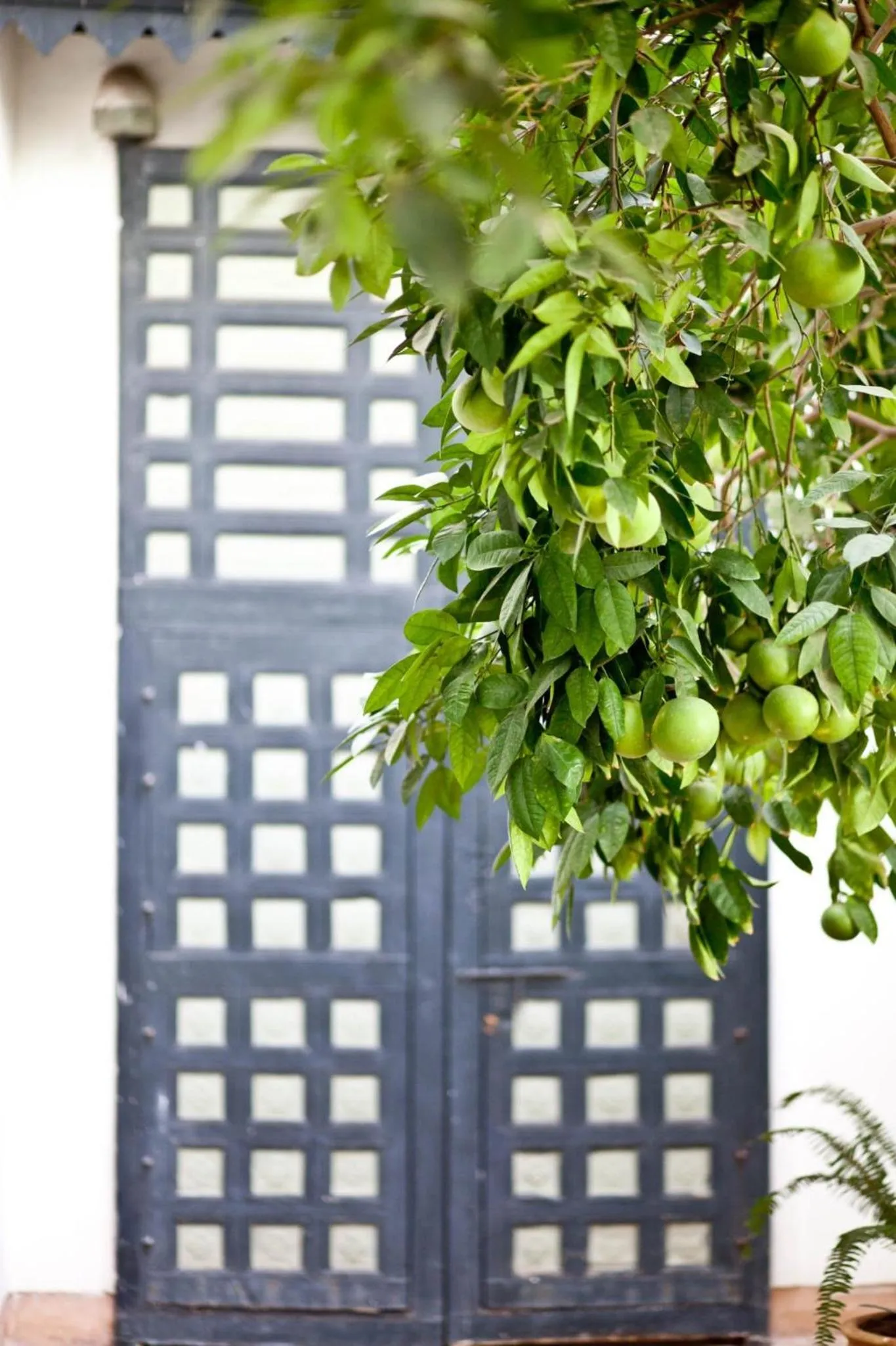 Photo of the whole room in Riyad El Cadi