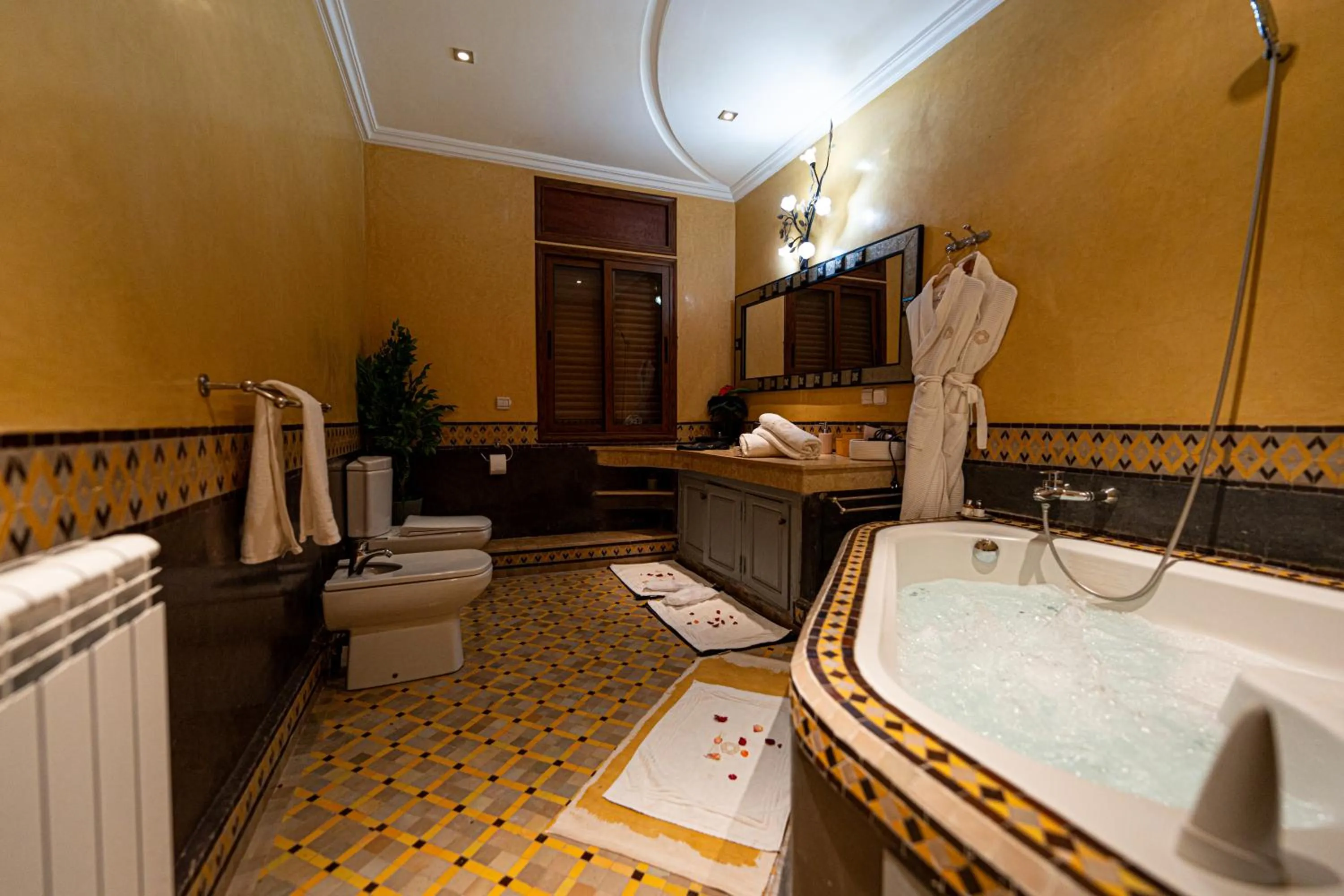 Toilet in Palais les sources de l'atlas & spa