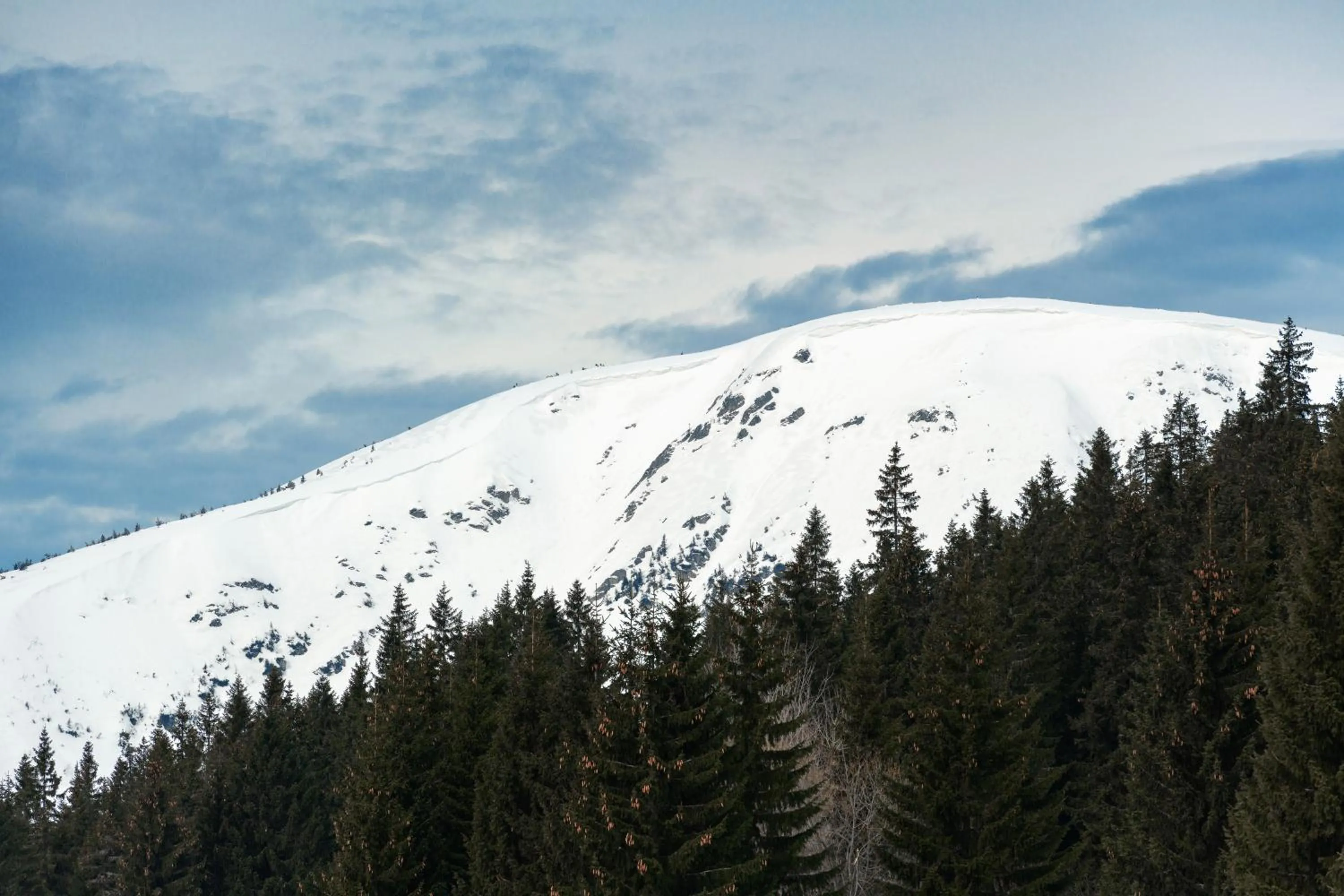 Day in Aldrov Resort