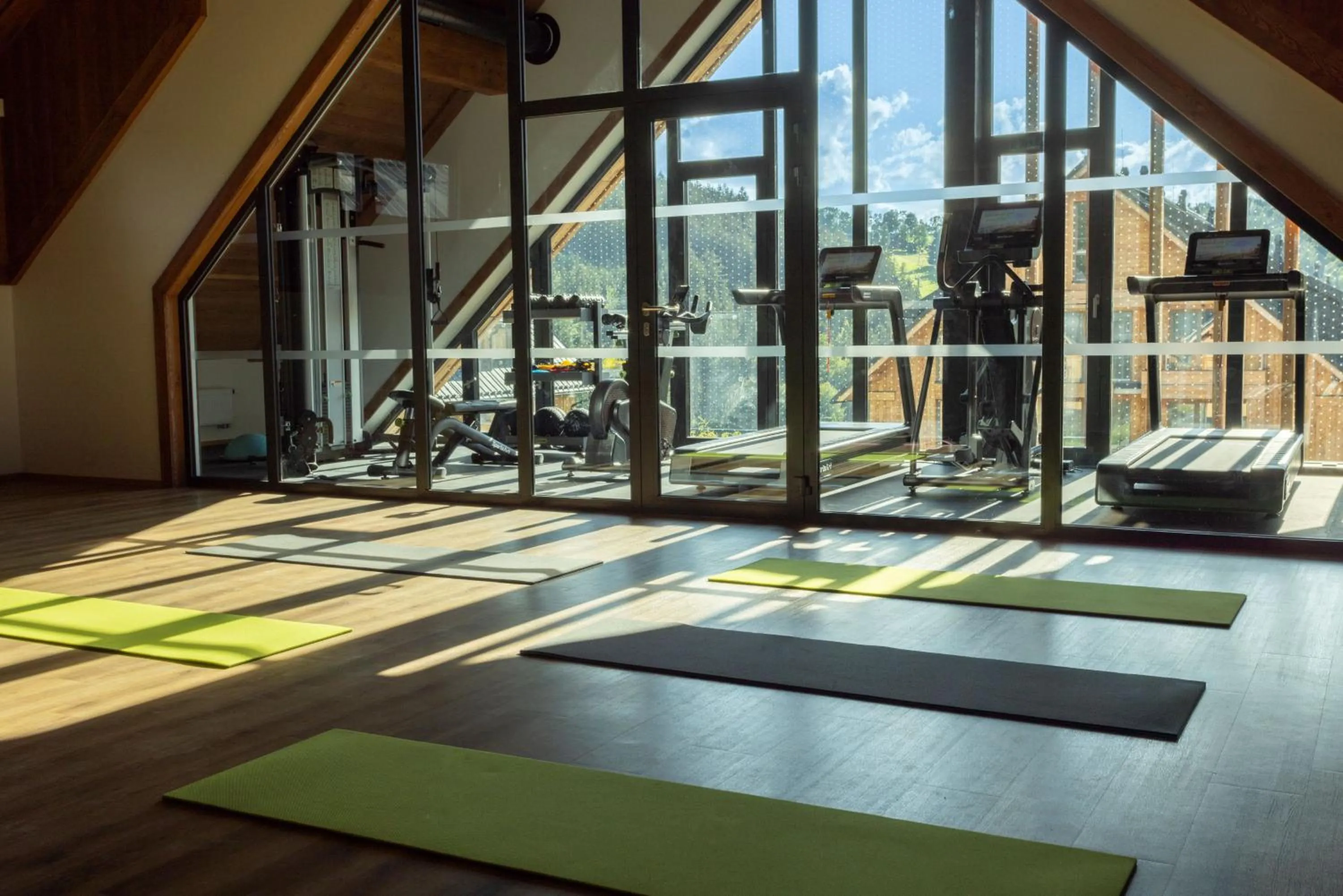 Fitness centre/facilities in Aldrov Resort