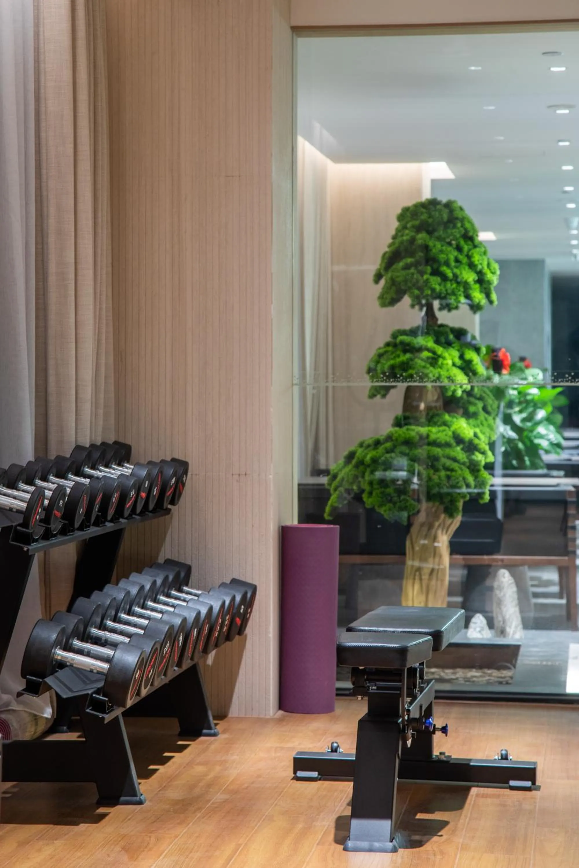 Fitness centre/facilities in GINCO Hotel Guangzhou Baiyun Airport-24 Hour Airport Pick-up and Drop-off Service