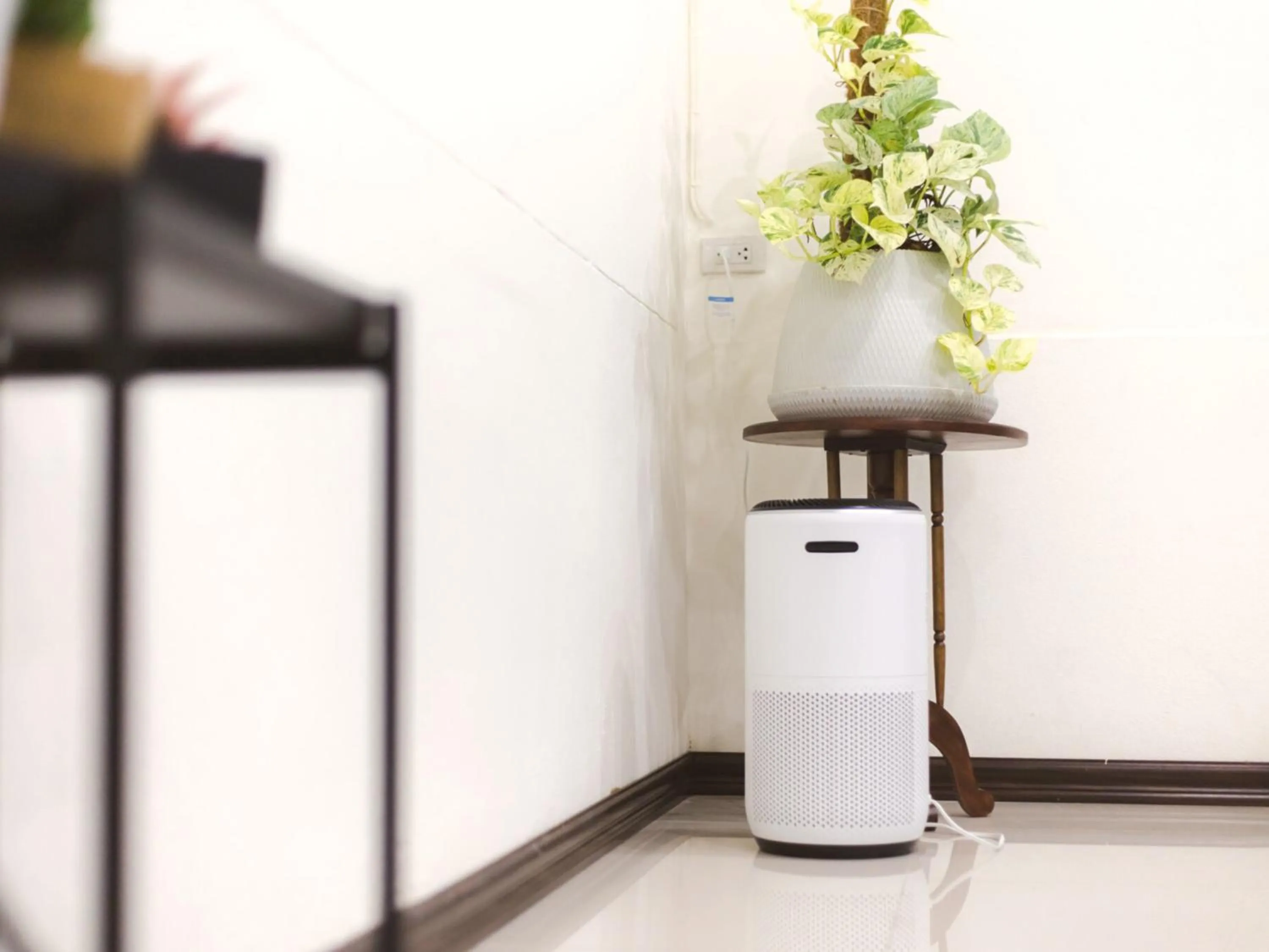 Area and facilities in The Social Club Coliving and Coworking space