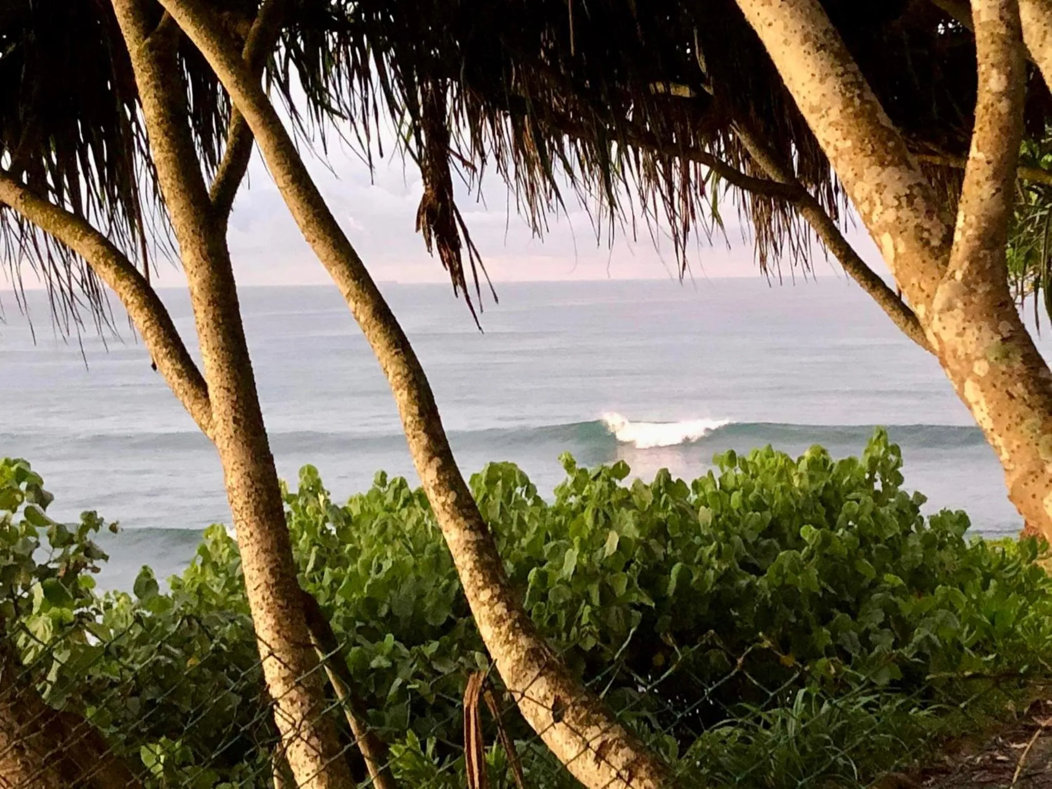 Natural landscape in Kenno's Korner