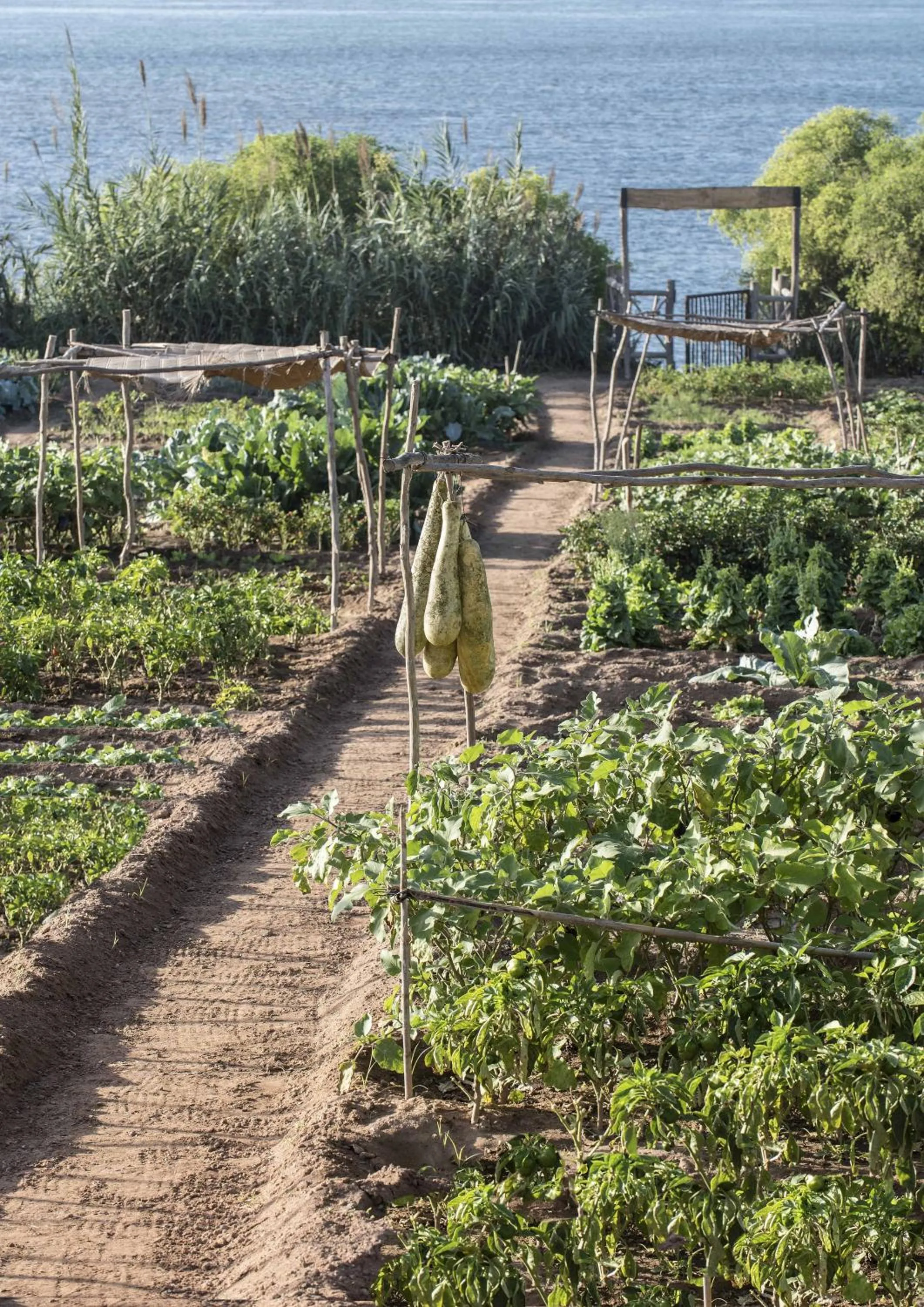 Area and facilities in La Sultana Oualidia