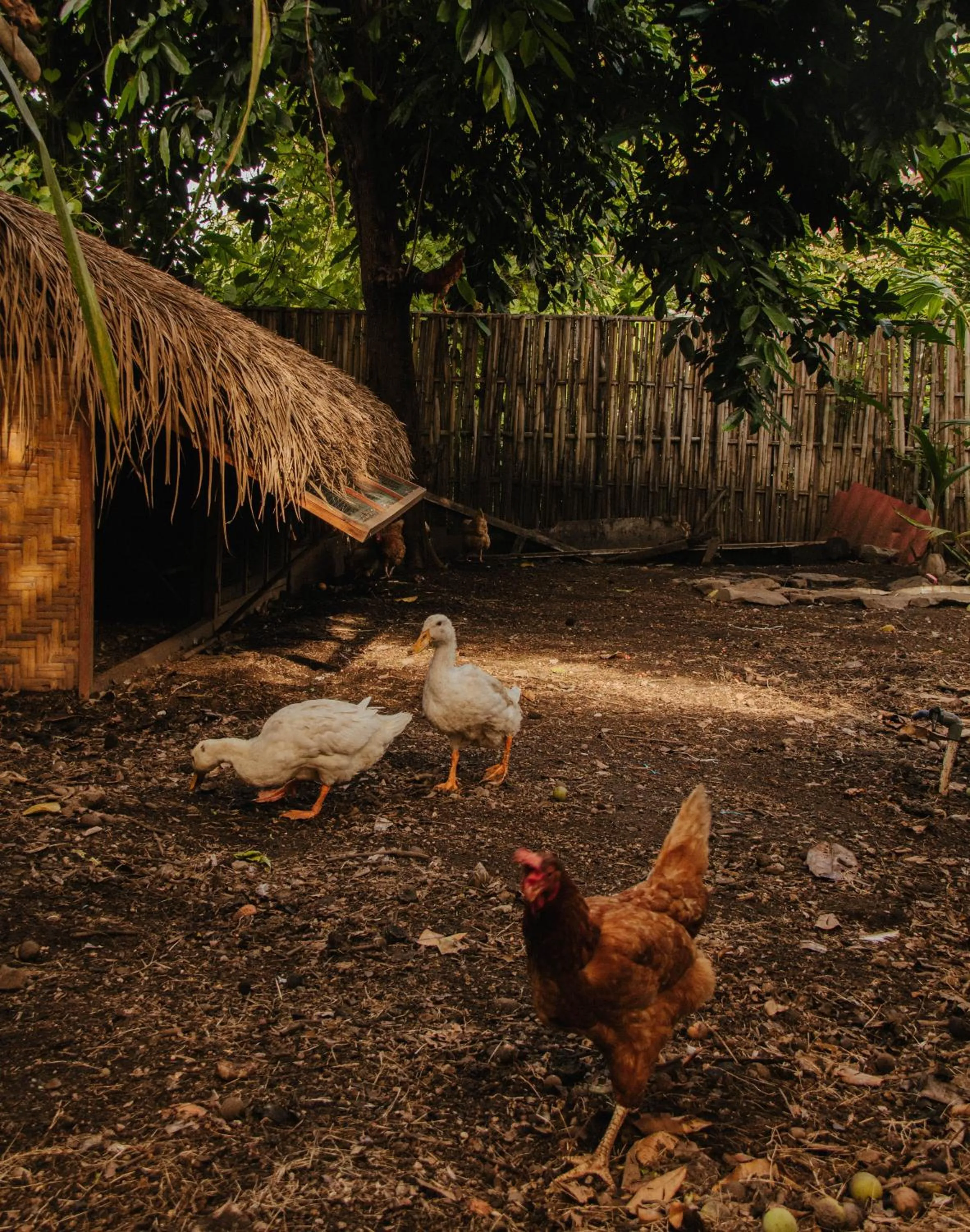 The Barefoot Blondie Village