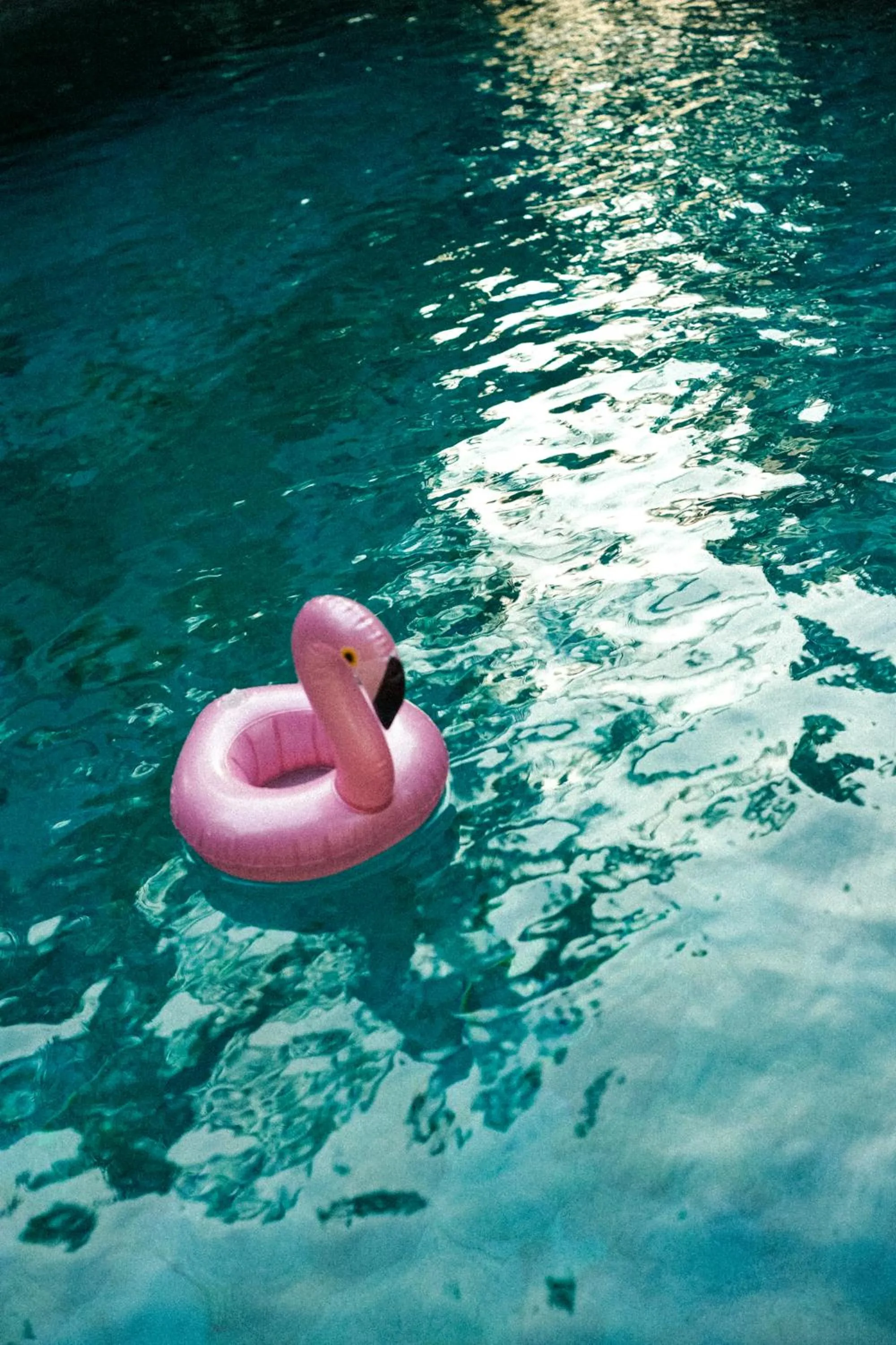 Swimming pool in The Barefoot Blondie Village