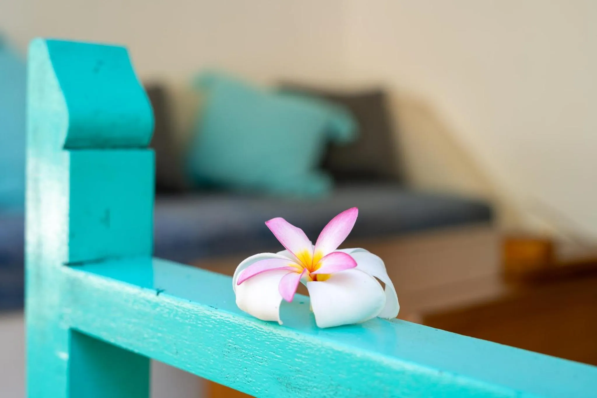 The Barefoot Blondie Village