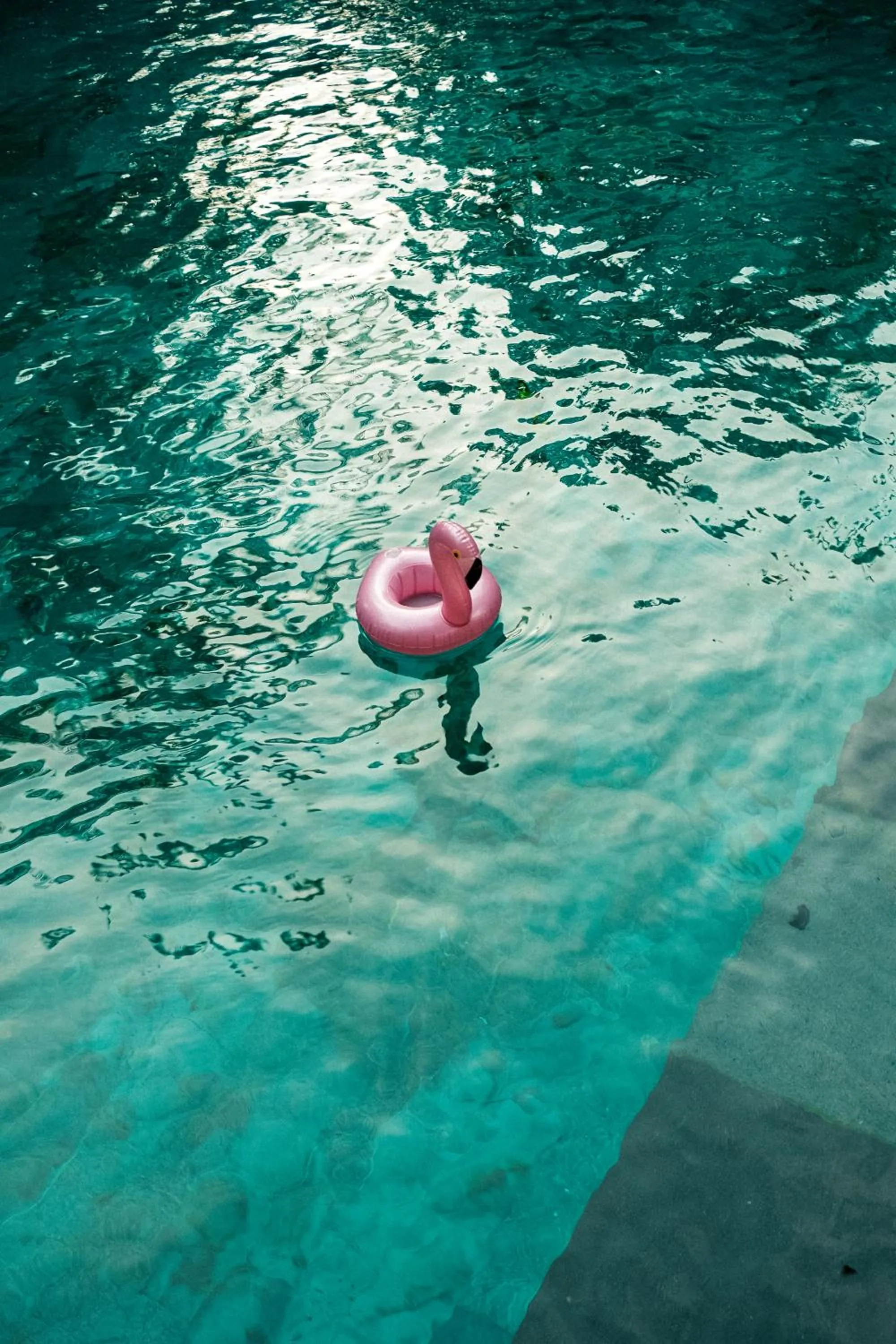 Swimming pool in The Barefoot Blondie Village
