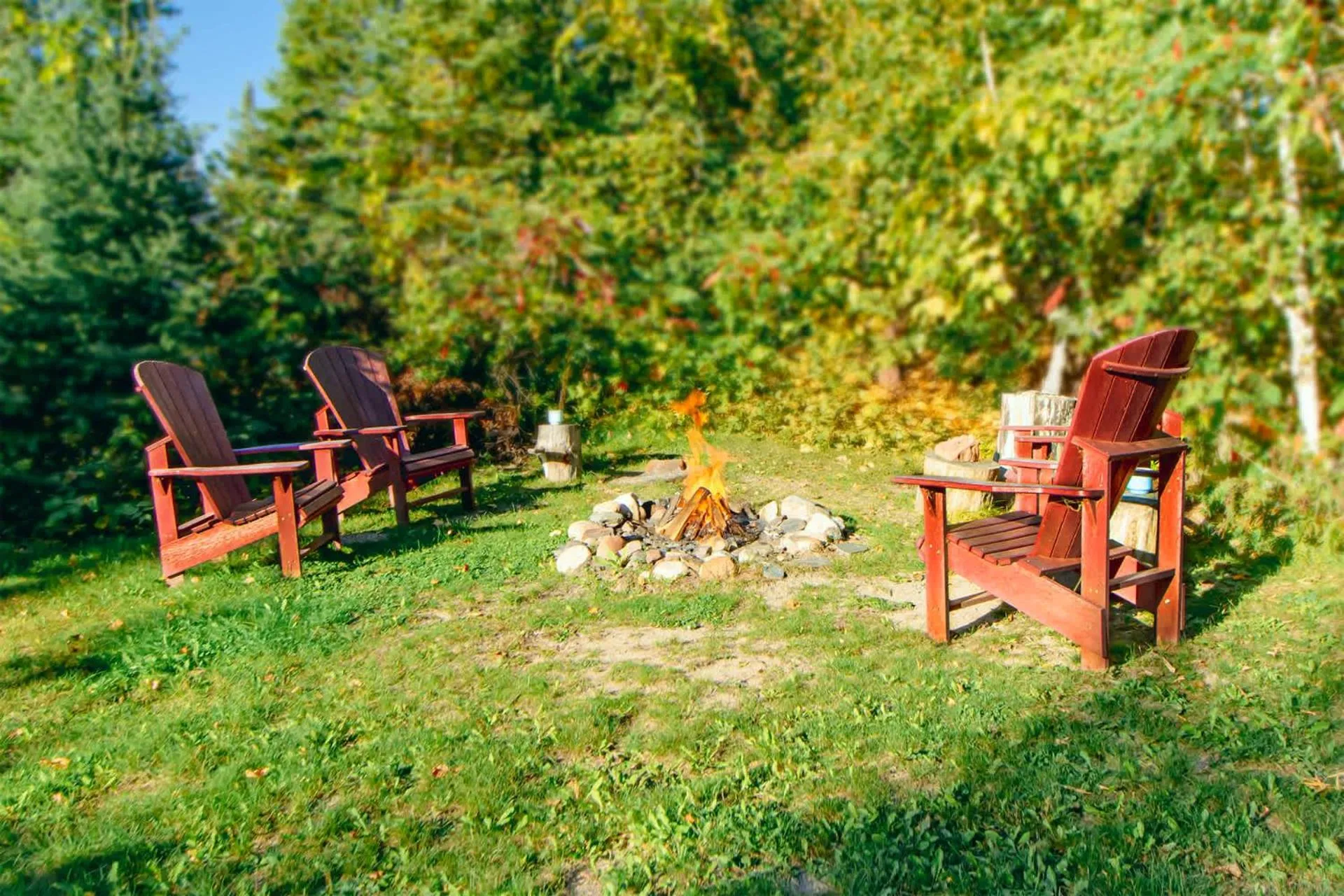 Spacious Leech Lake Home on 2 Private Acres, 200' of lake shore 15 Minutes to Walker with boat lift, dock, swimming, fire pit