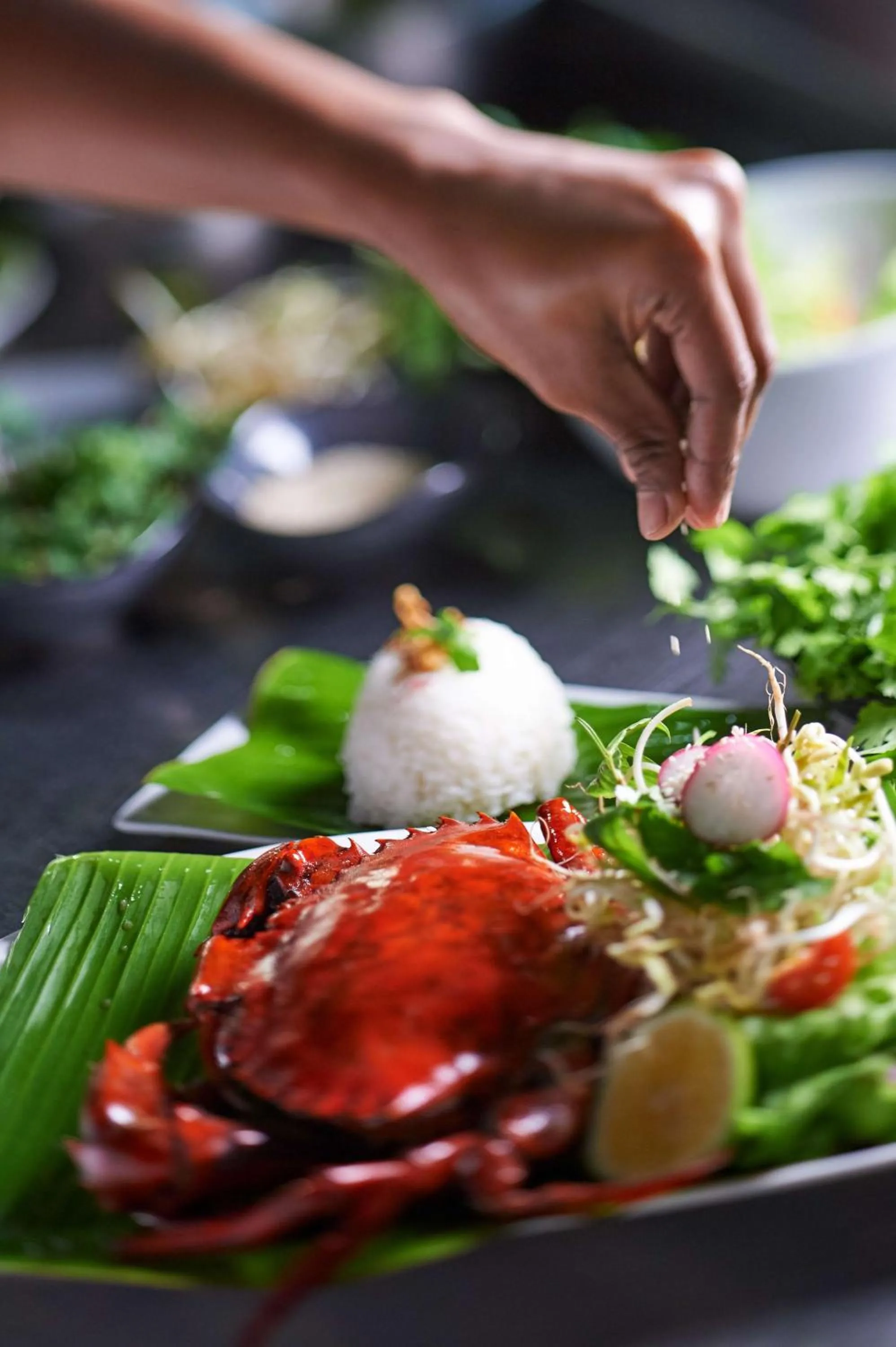 Restaurant/places to eat in Hilton Fiji Beach Resort and Spa