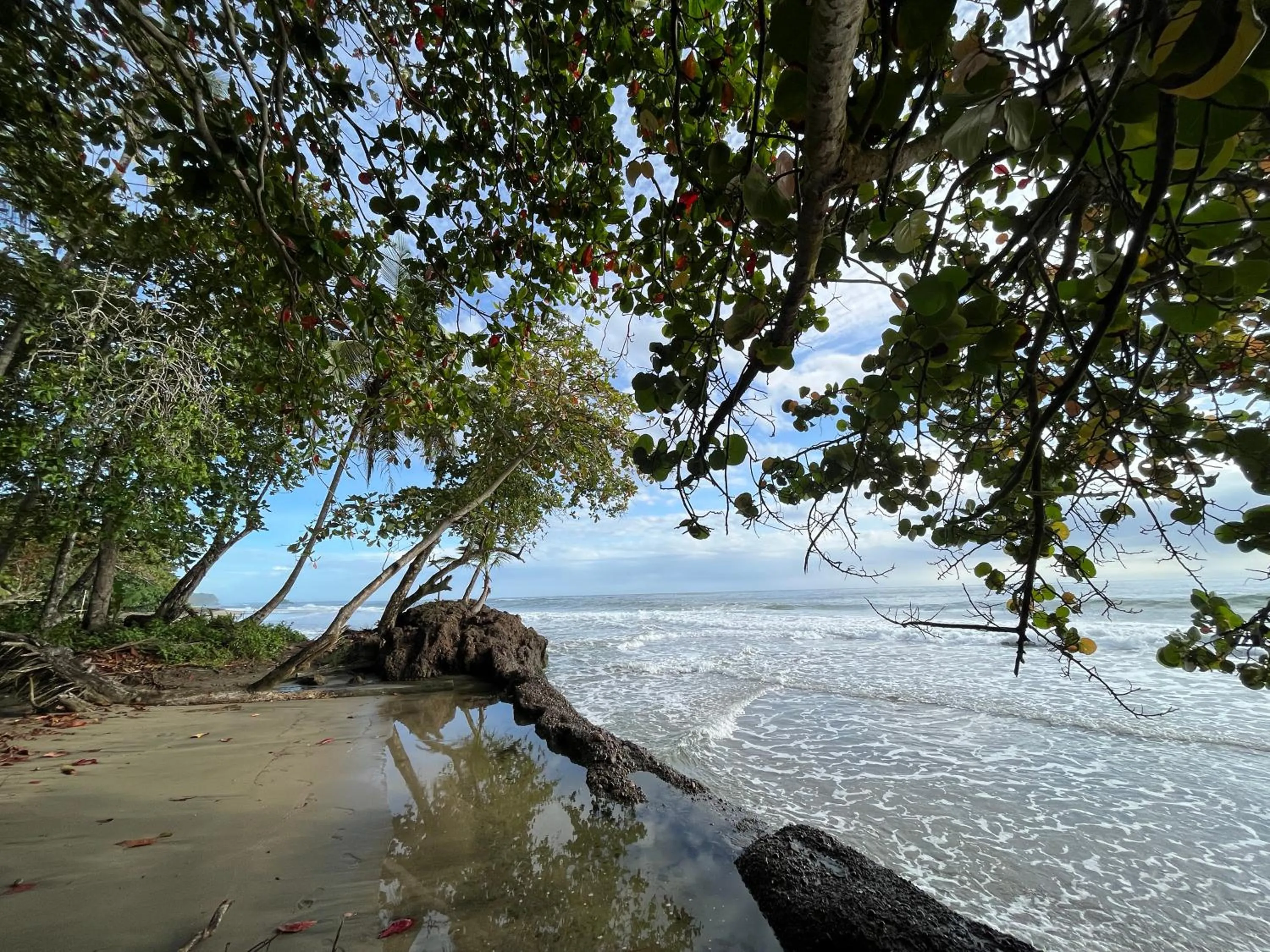 Natural landscape in Namu Garden Hotel & Spa - Adults Only